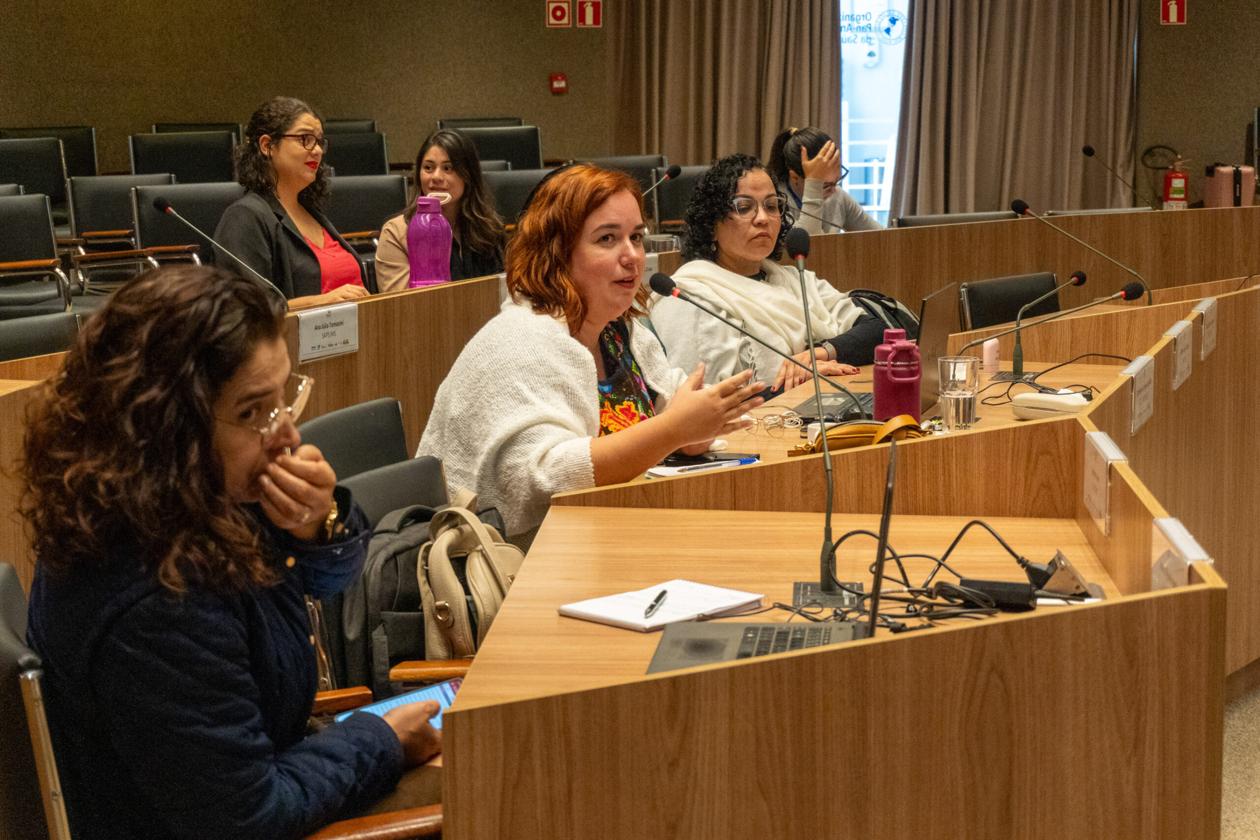 6ª Reunião dos Comitês de Gestão de Indicadores da Ripsa​ - 2025.05.15 e 16