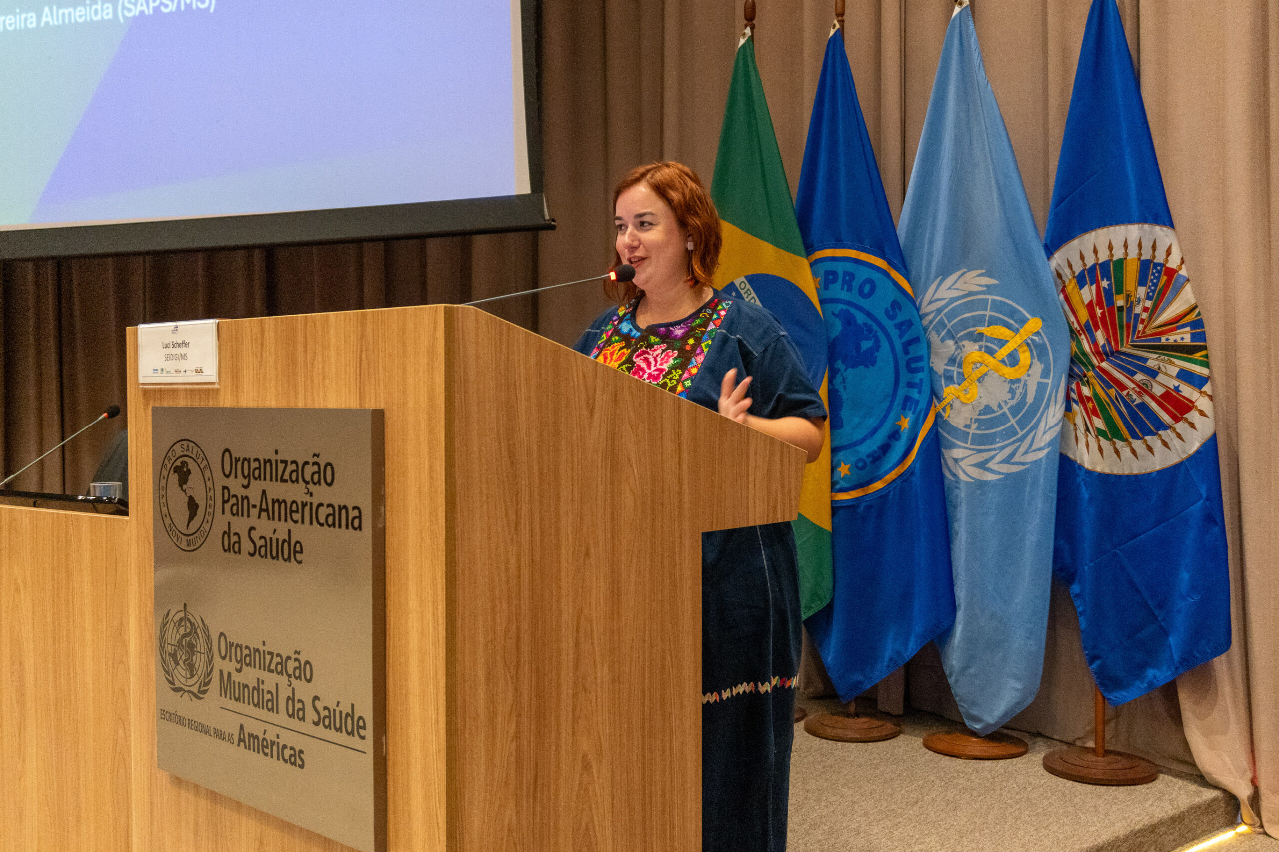 6ª Reunião dos Comitês de Gestão de Indicadores da Ripsa​ - 2025.05.15 e 16