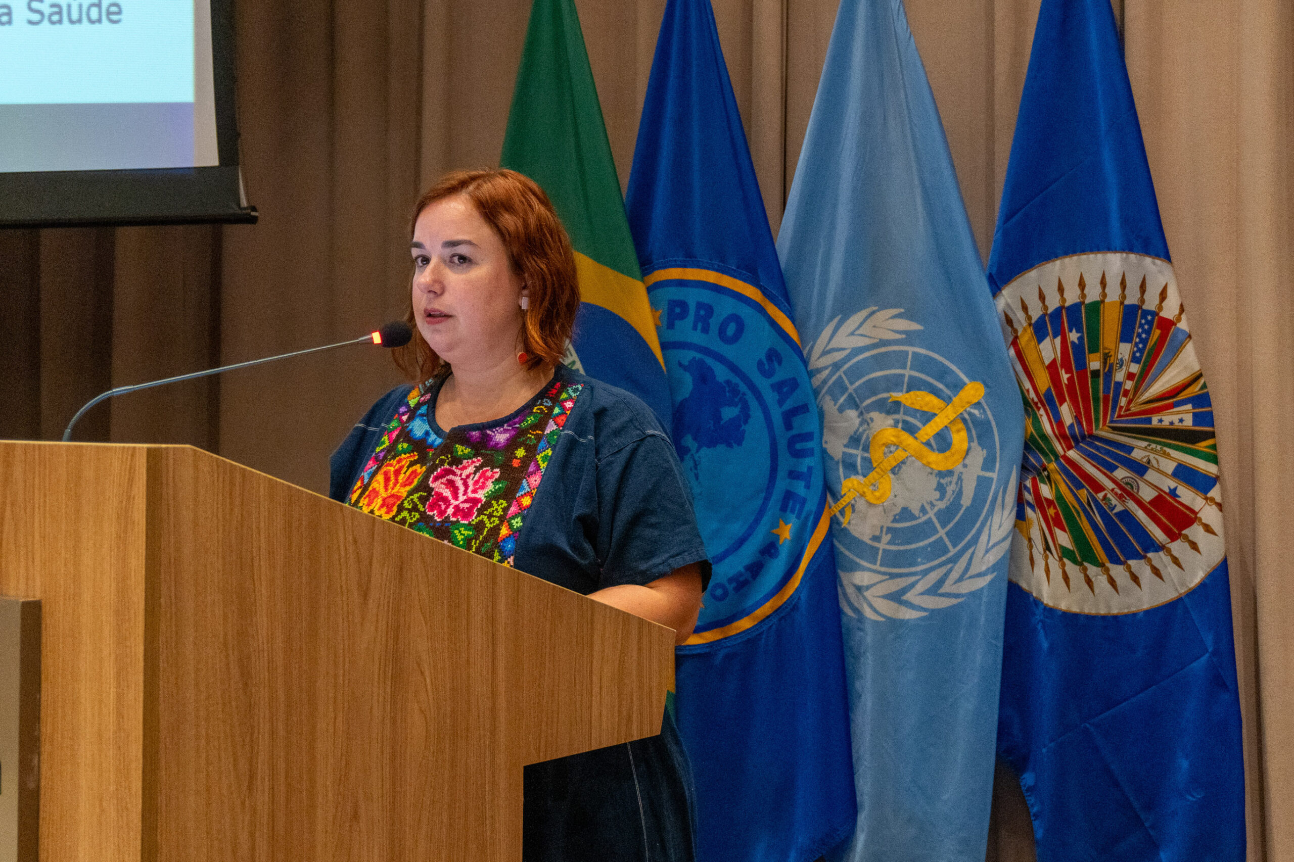 6ª Reunião dos Comitês de Gestão de Indicadores da Ripsa​ - 2025.05.15 e 16