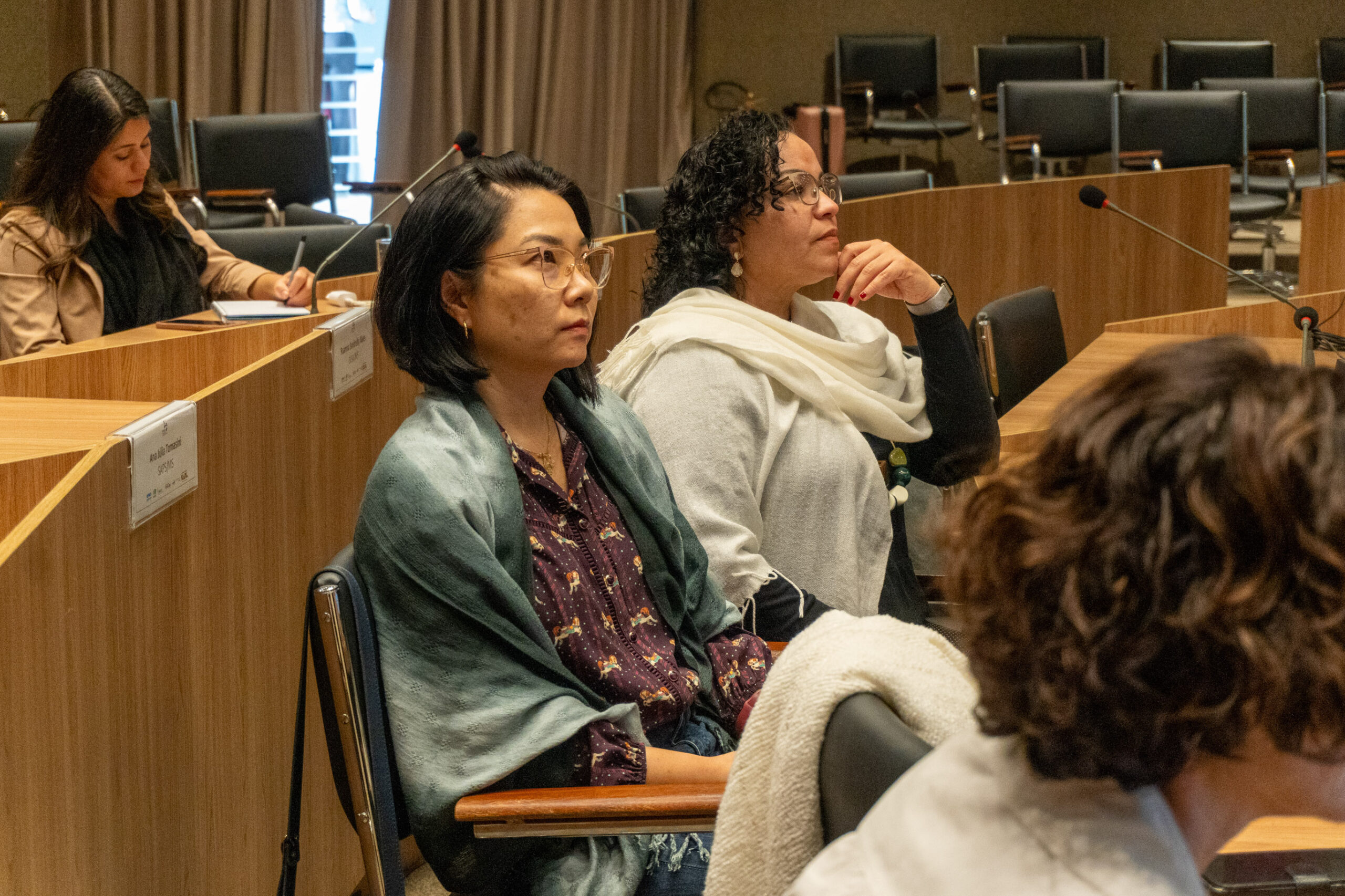 6ª Reunião dos Comitês de Gestão de Indicadores da Ripsa​ - 2025.05.15 e 16