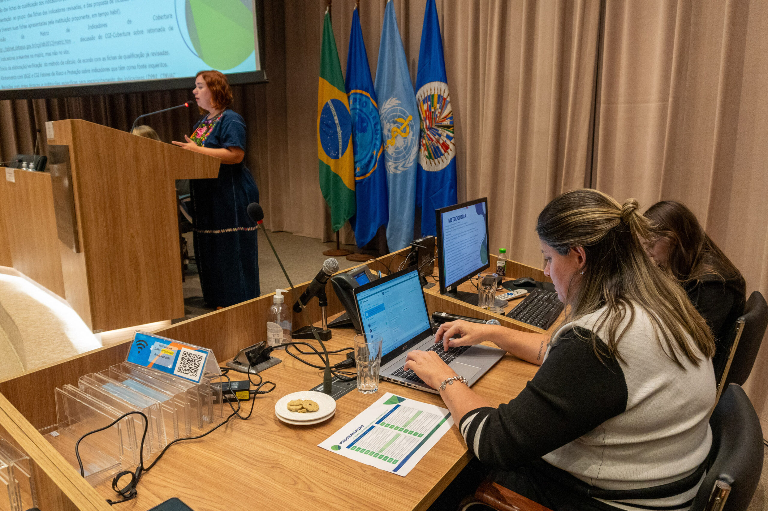 6ª Reunião dos Comitês de Gestão de Indicadores da Ripsa​ - 2025.05.15 e 16