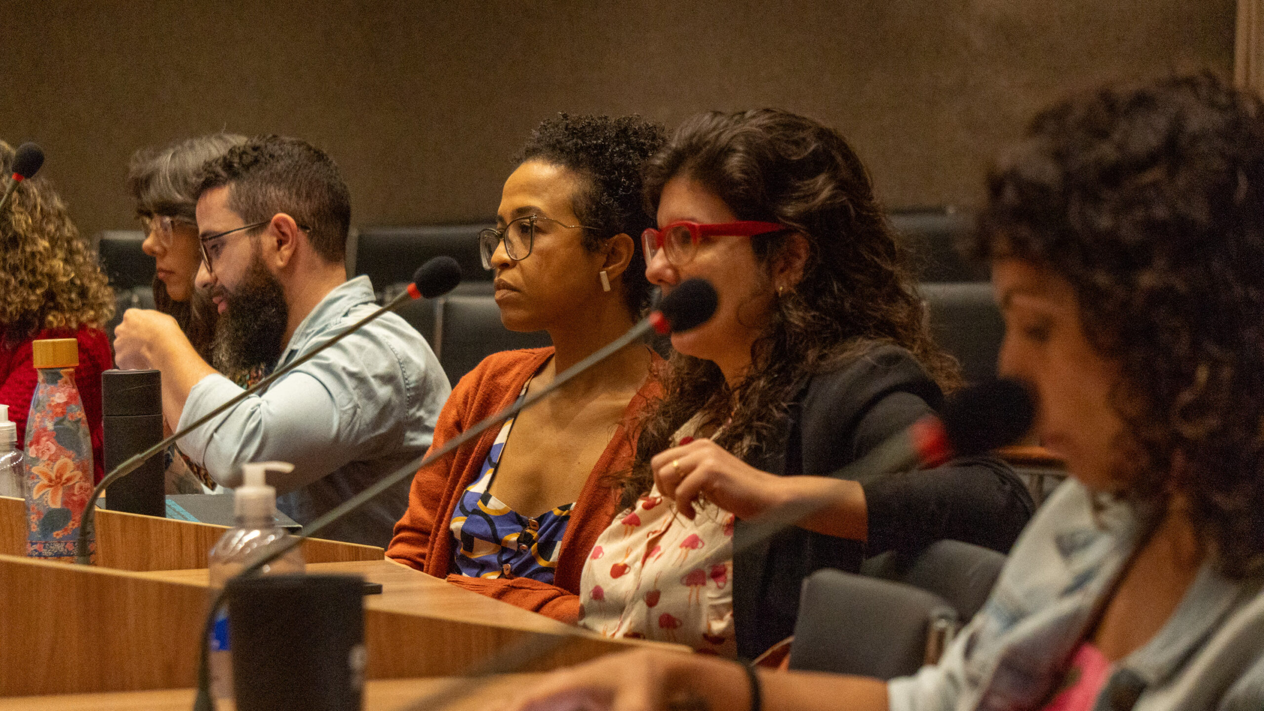 6ª Reunião dos Comitês de Gestão de Indicadores da Ripsa​ - 2025.05.15 e 16