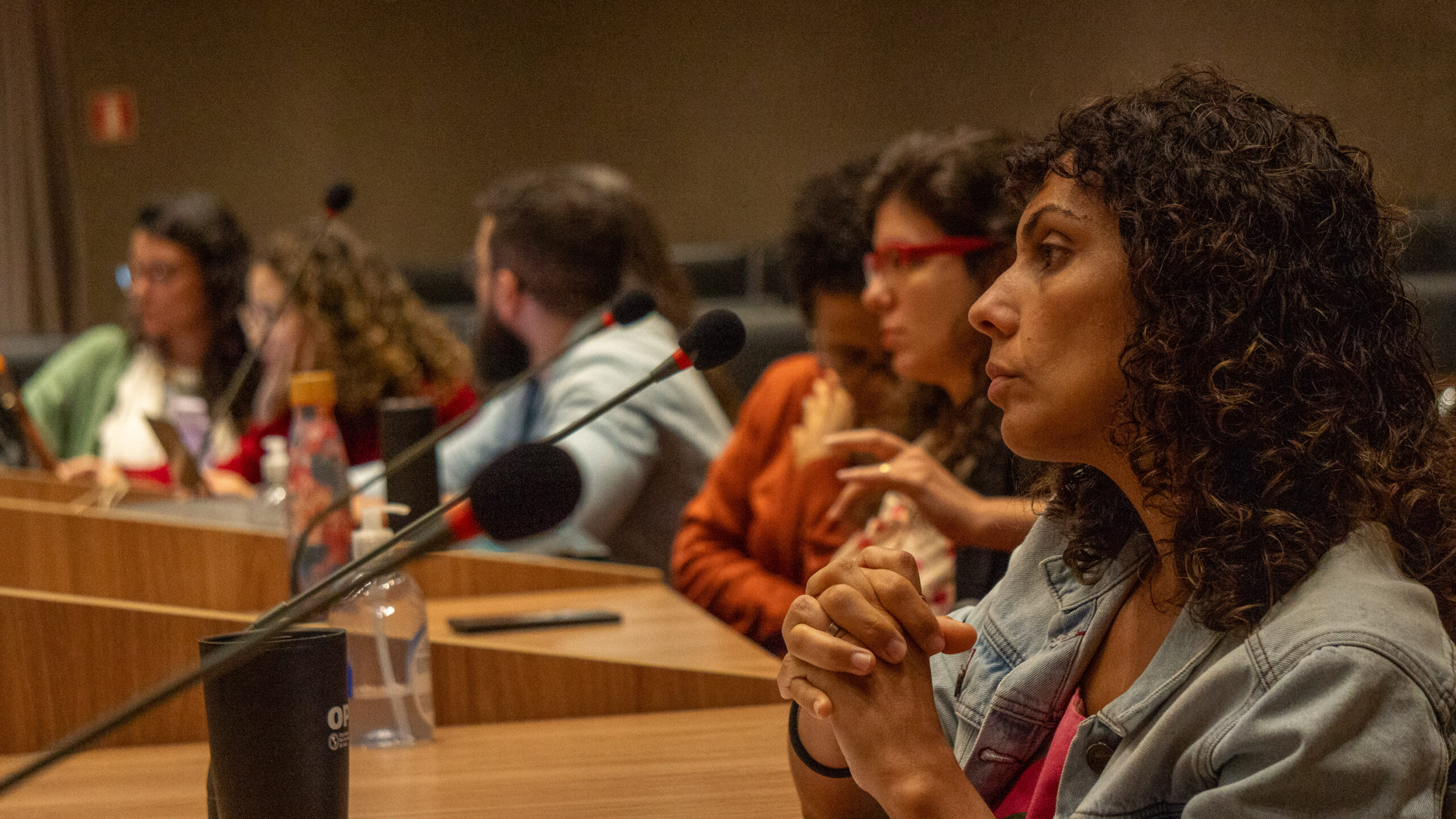 6ª Reunião dos Comitês de Gestão de Indicadores da Ripsa​ - 2025.05.15 e 16