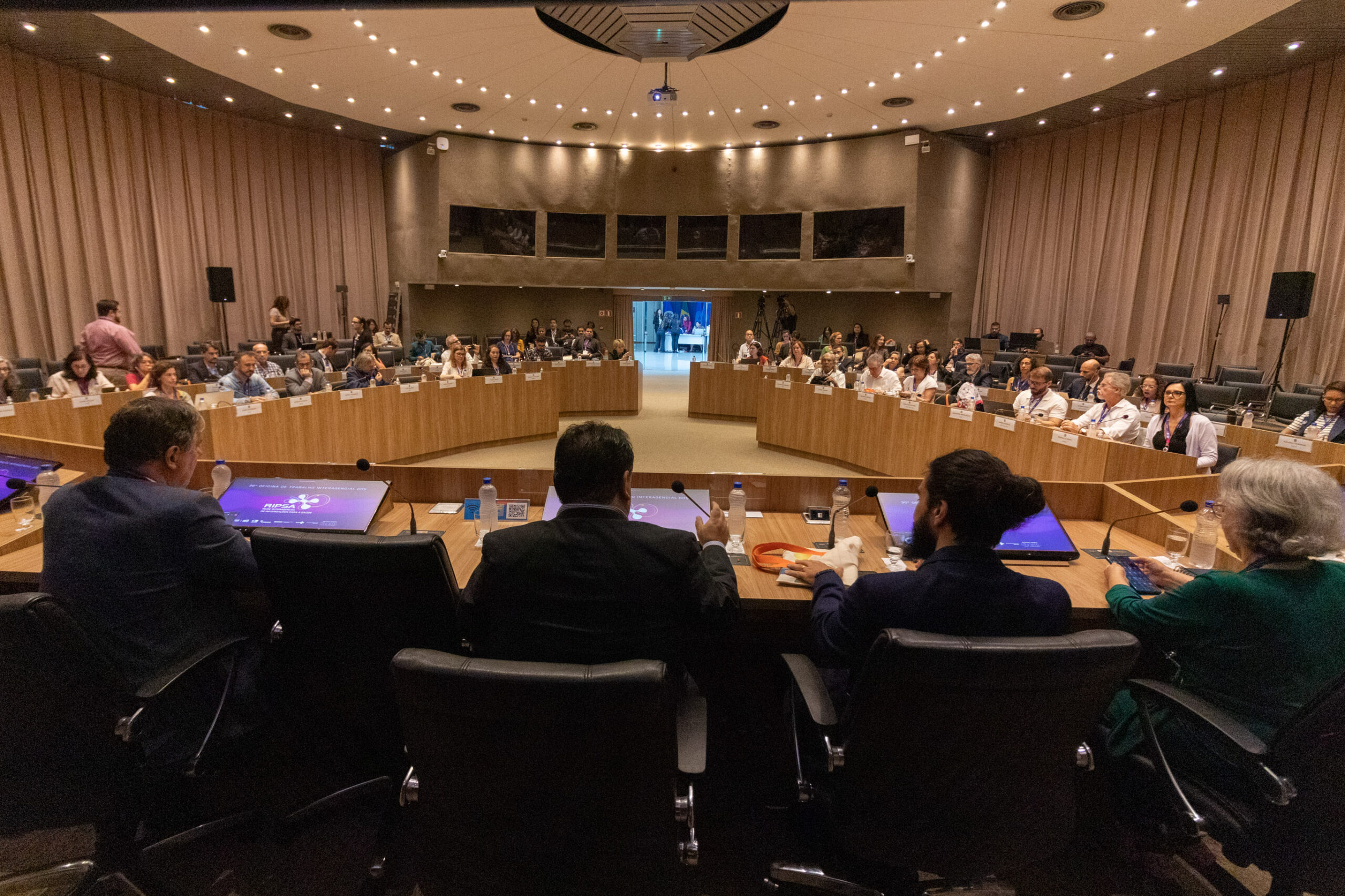 30ª Oficina de Trabalho Interagencial da Ripsa - 2024.05.04 e 05