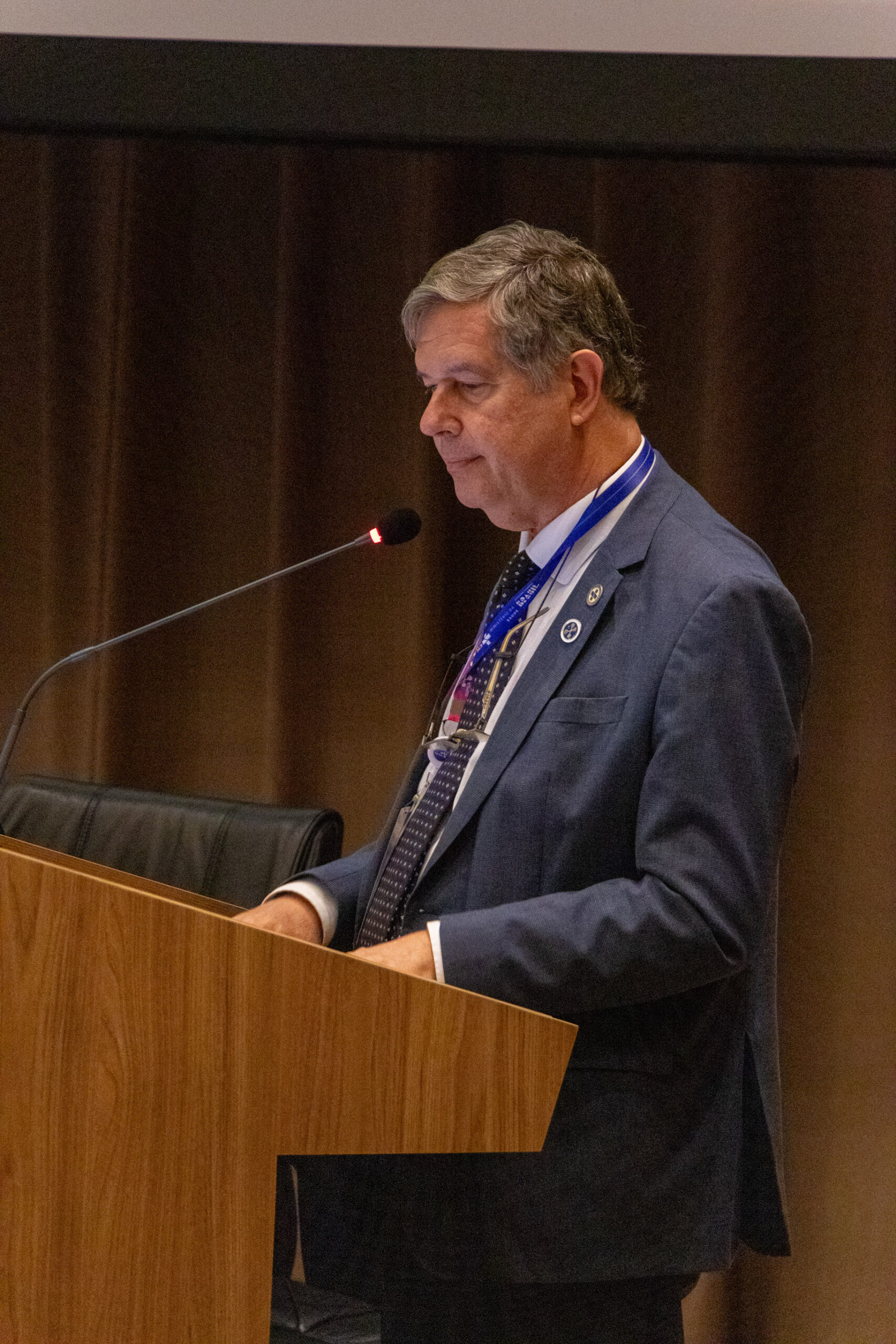 30ª Oficina de Trabalho Interagencial da Ripsa - 2024.05.04 e 05