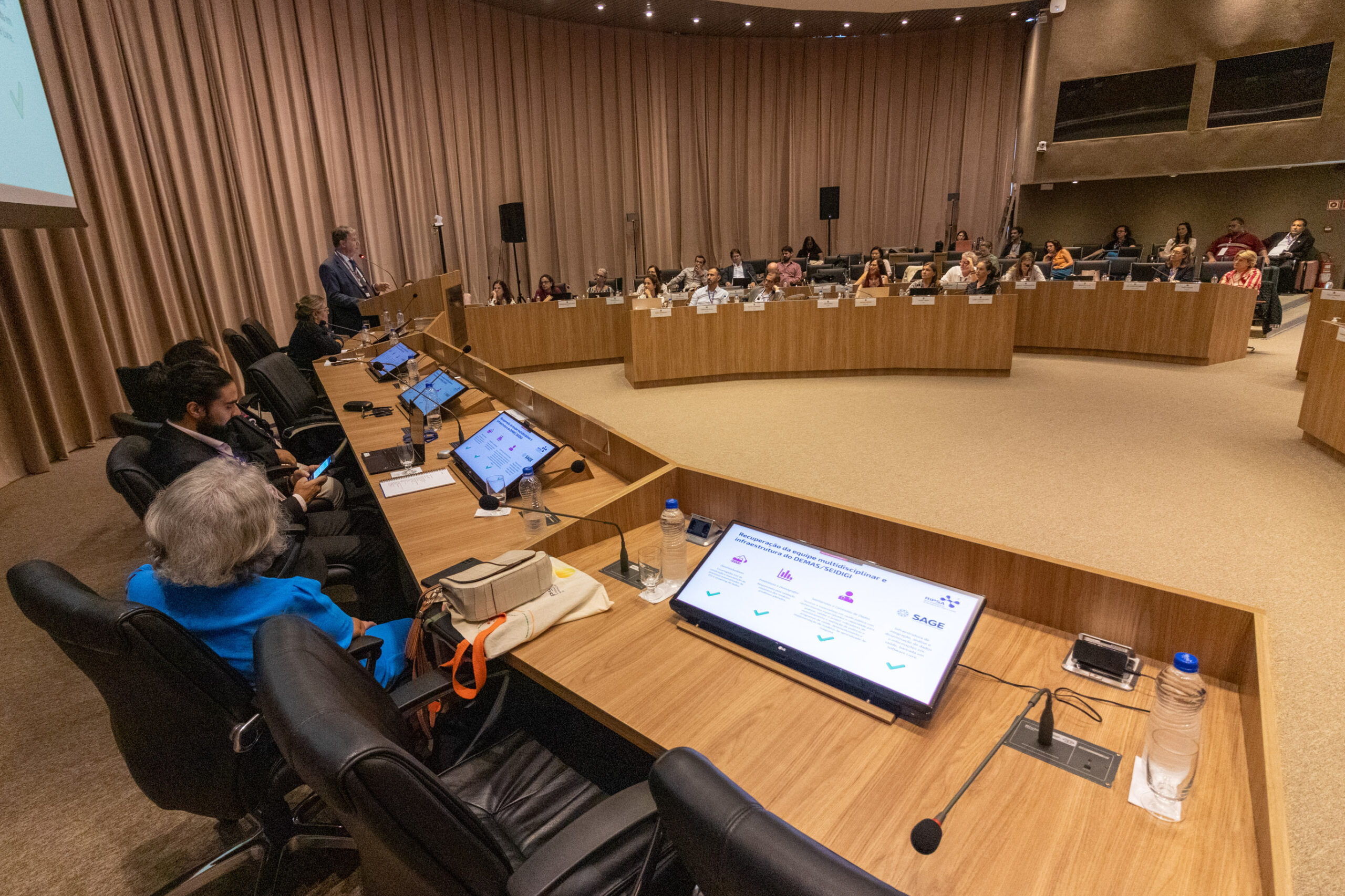 30ª Oficina de Trabalho Interagencial da Ripsa - 2024.05.04 e 05