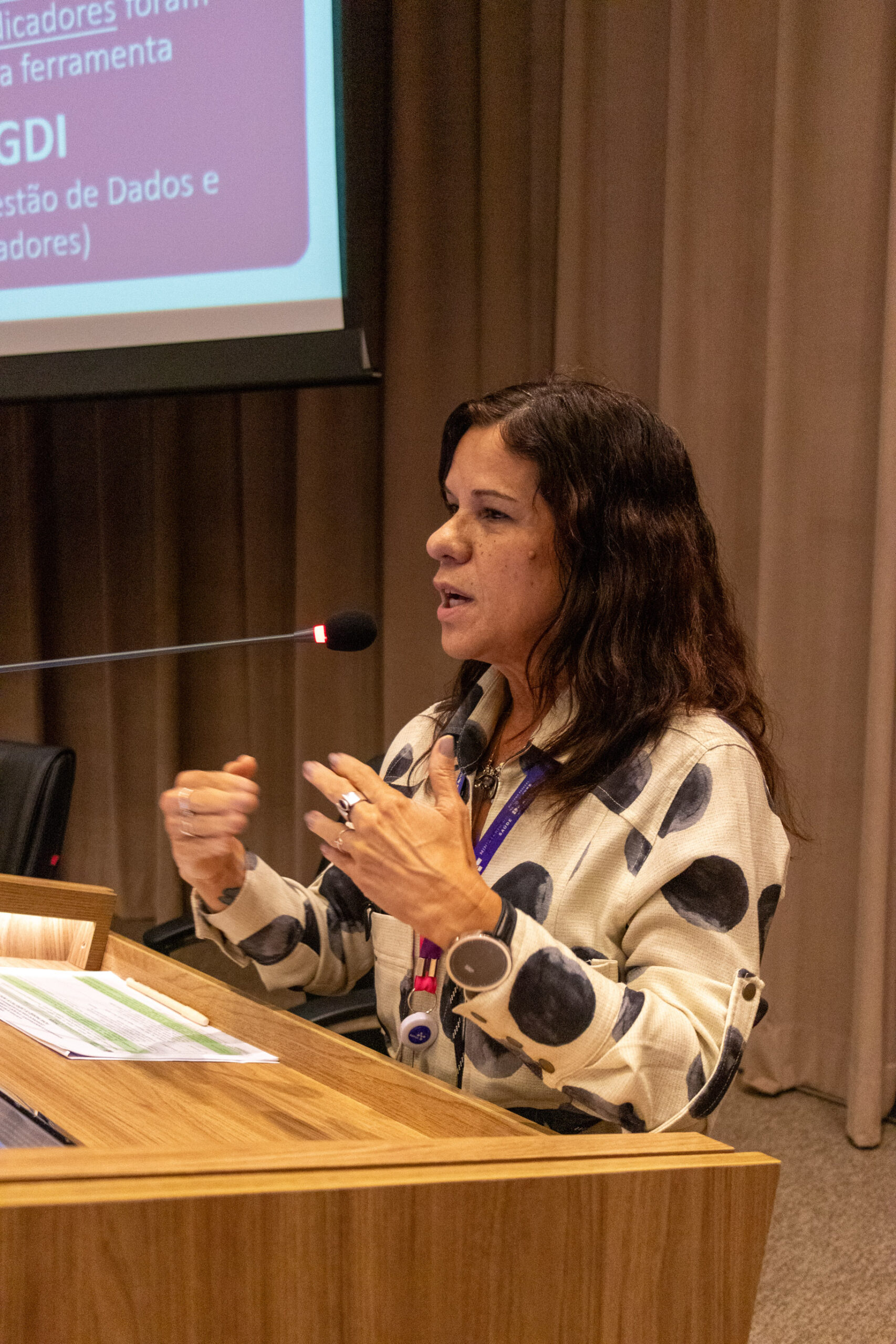 30ª Oficina de Trabalho Interagencial da Ripsa - 2024.05.04 e 05