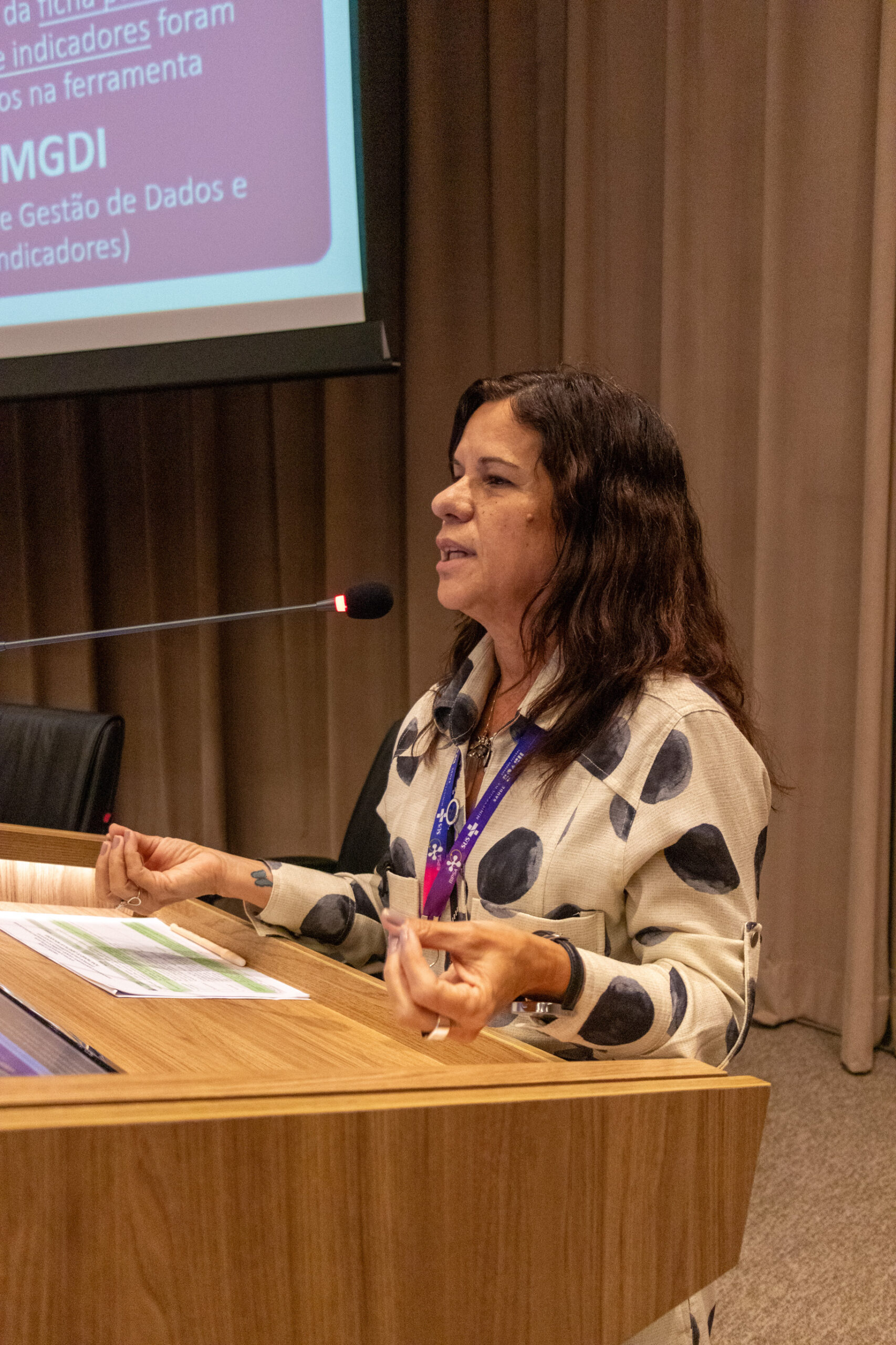 30ª Oficina de Trabalho Interagencial da Ripsa - 2024.05.04 e 05