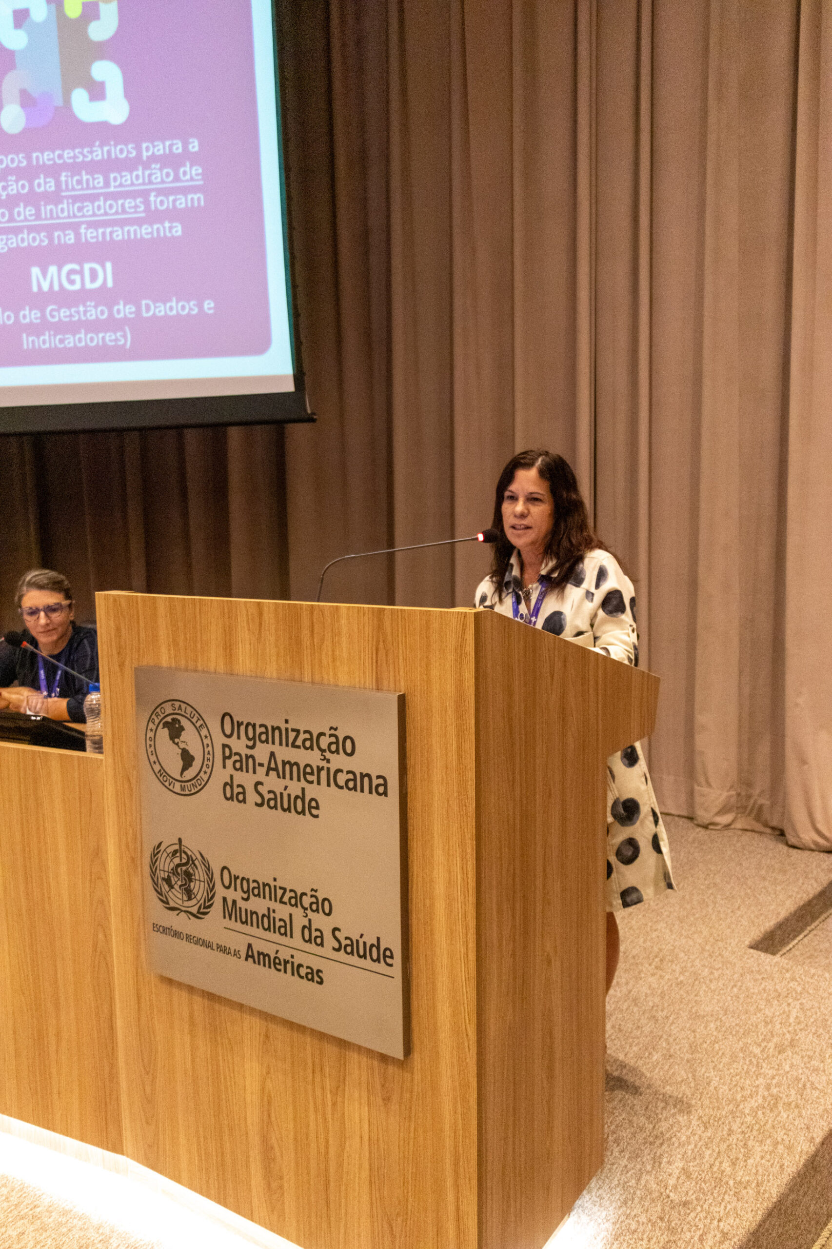 30ª Oficina de Trabalho Interagencial da Ripsa - 2024.05.04 e 05