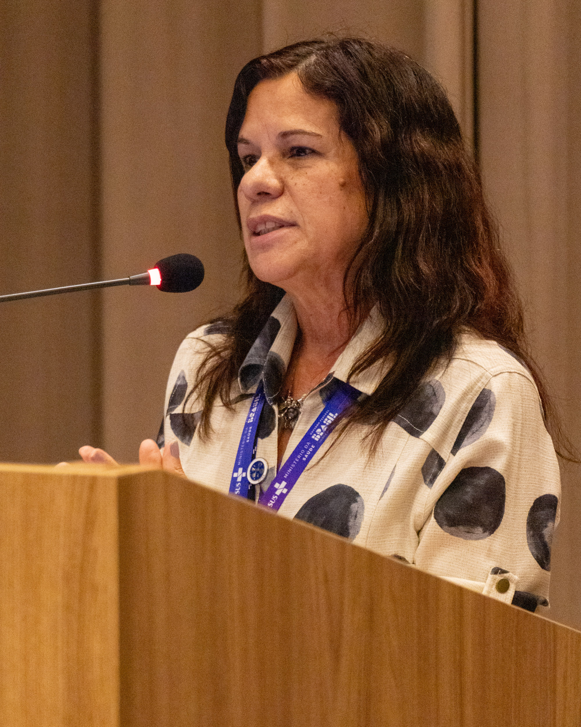 30ª Oficina de Trabalho Interagencial da Ripsa - 2024.05.04 e 05