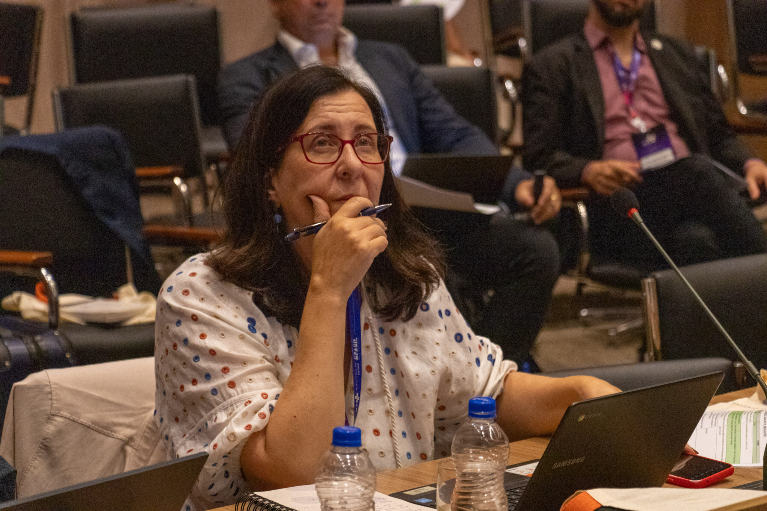 30ª Oficina de Trabalho Interagencial da Ripsa - 2024.05.04 e 05