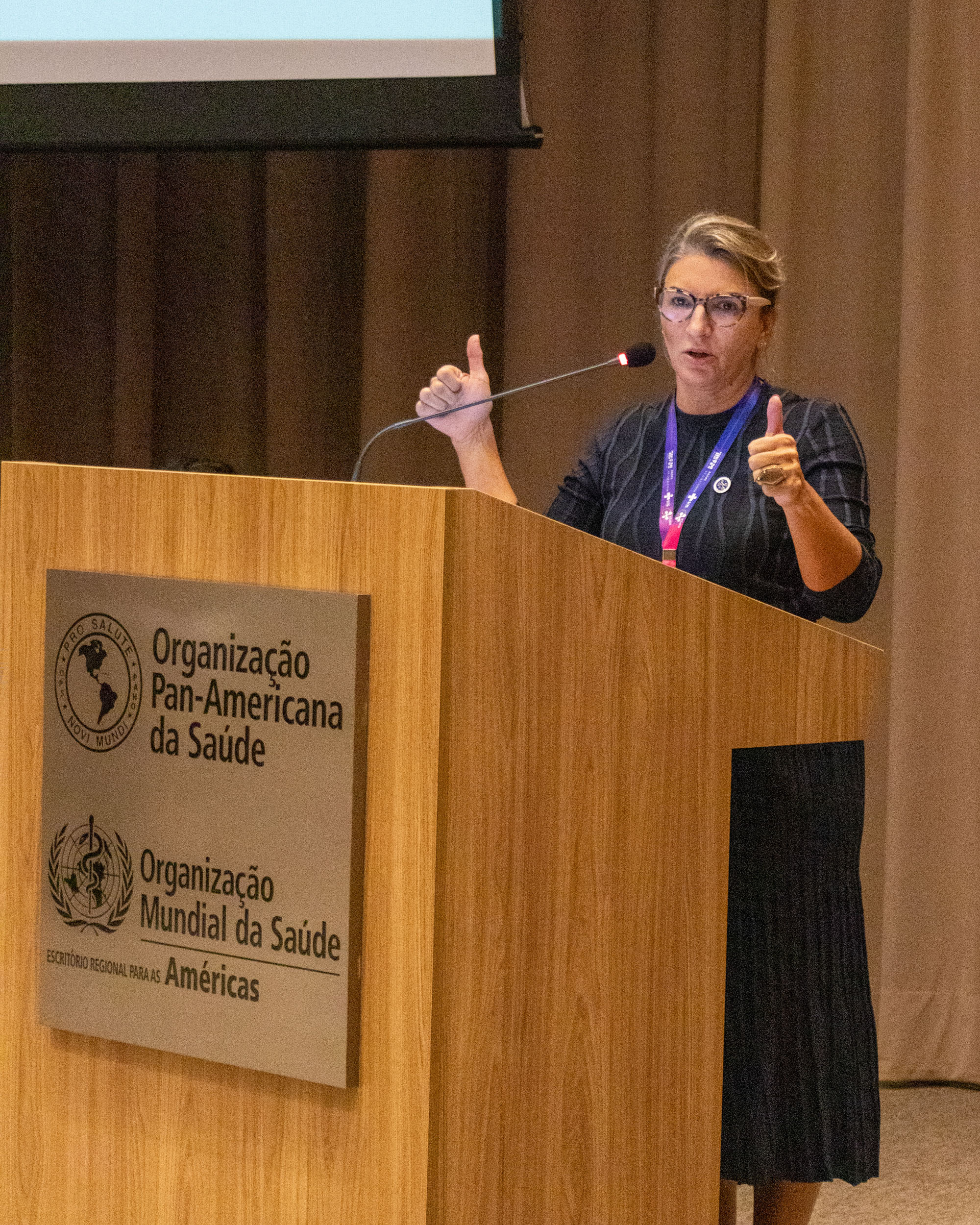 30ª Oficina de Trabalho Interagencial da Ripsa - 2024.05.04 e 05