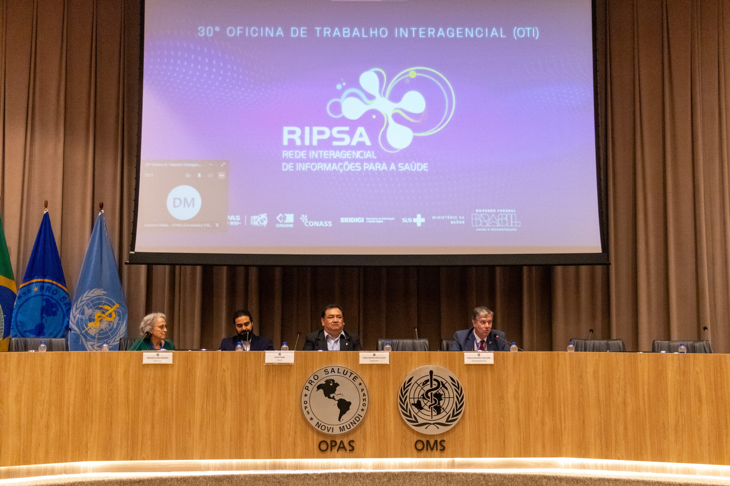 30ª Oficina de Trabalho Interagencial da Ripsa - 2024.05.04 e 05