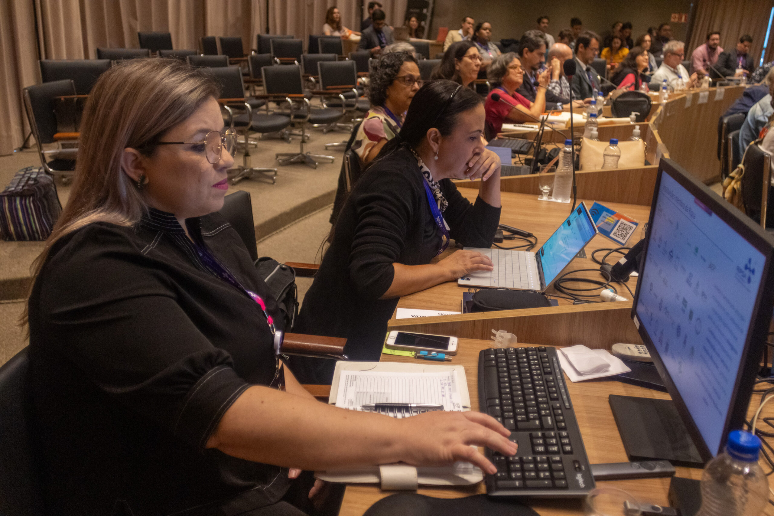 30ª Oficina de Trabalho Interagencial da Ripsa - 2024.05.04 e 05