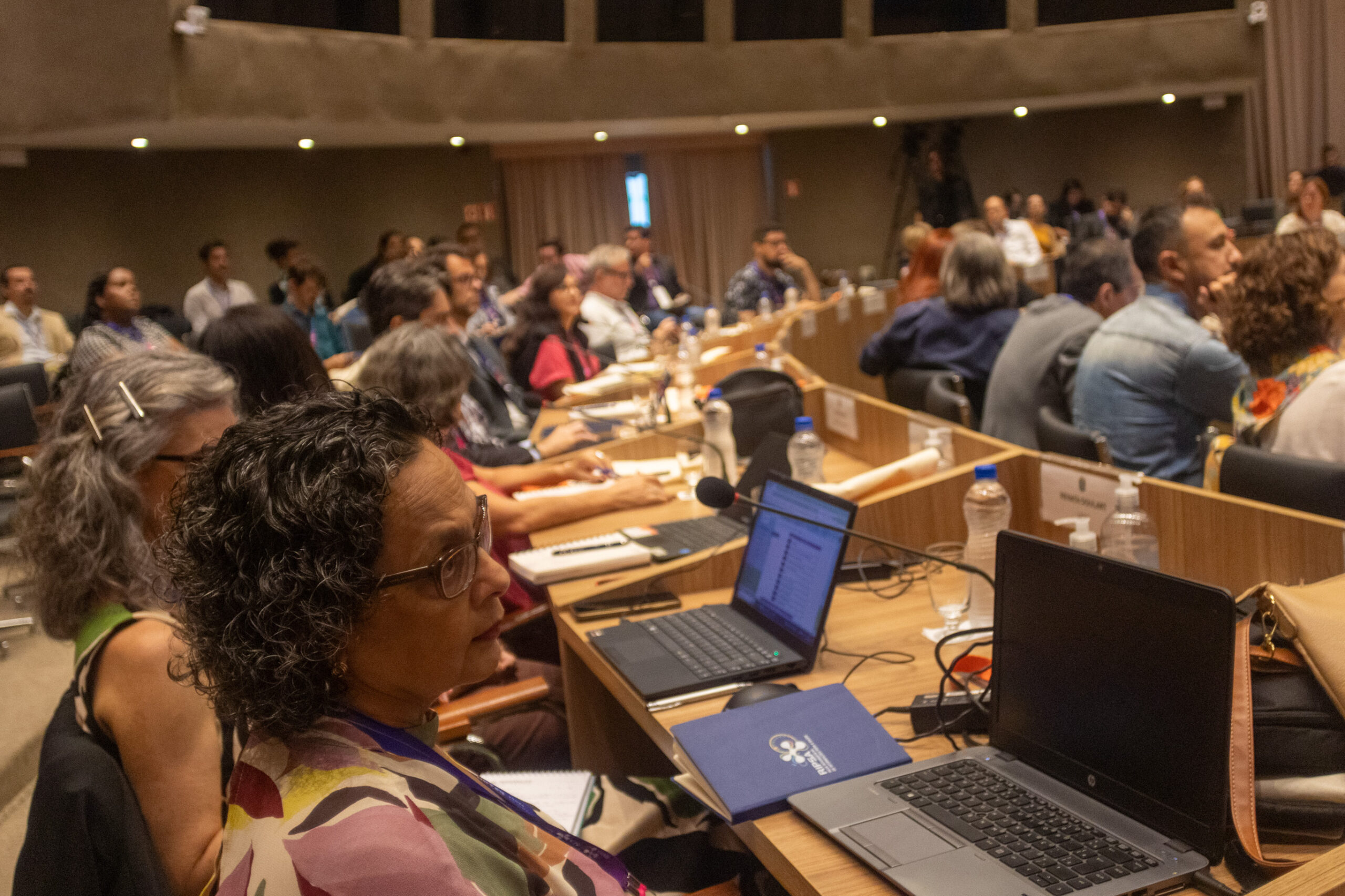 30ª Oficina de Trabalho Interagencial da Ripsa - 2024.05.04 e 05