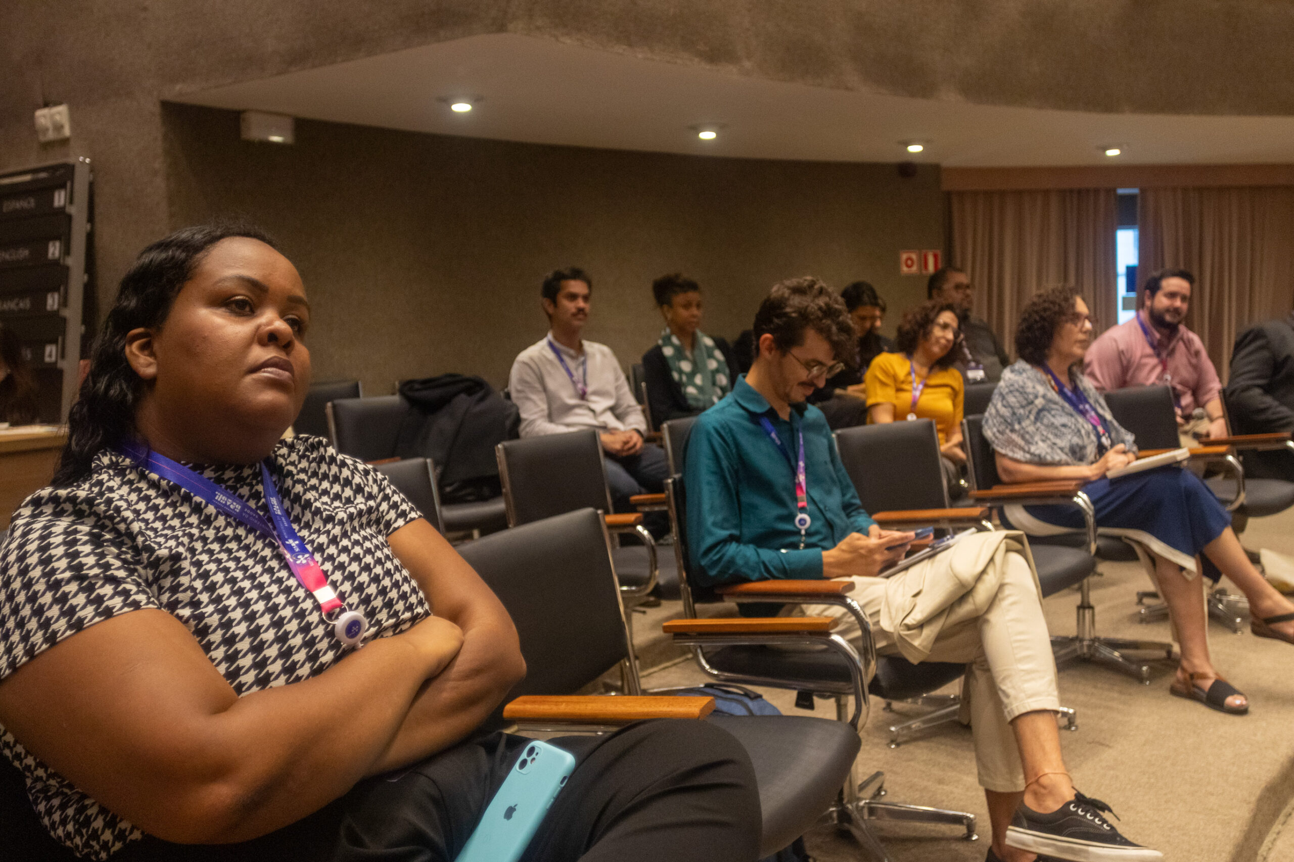 30ª Oficina de Trabalho Interagencial da Ripsa - 2024.05.04 e 05