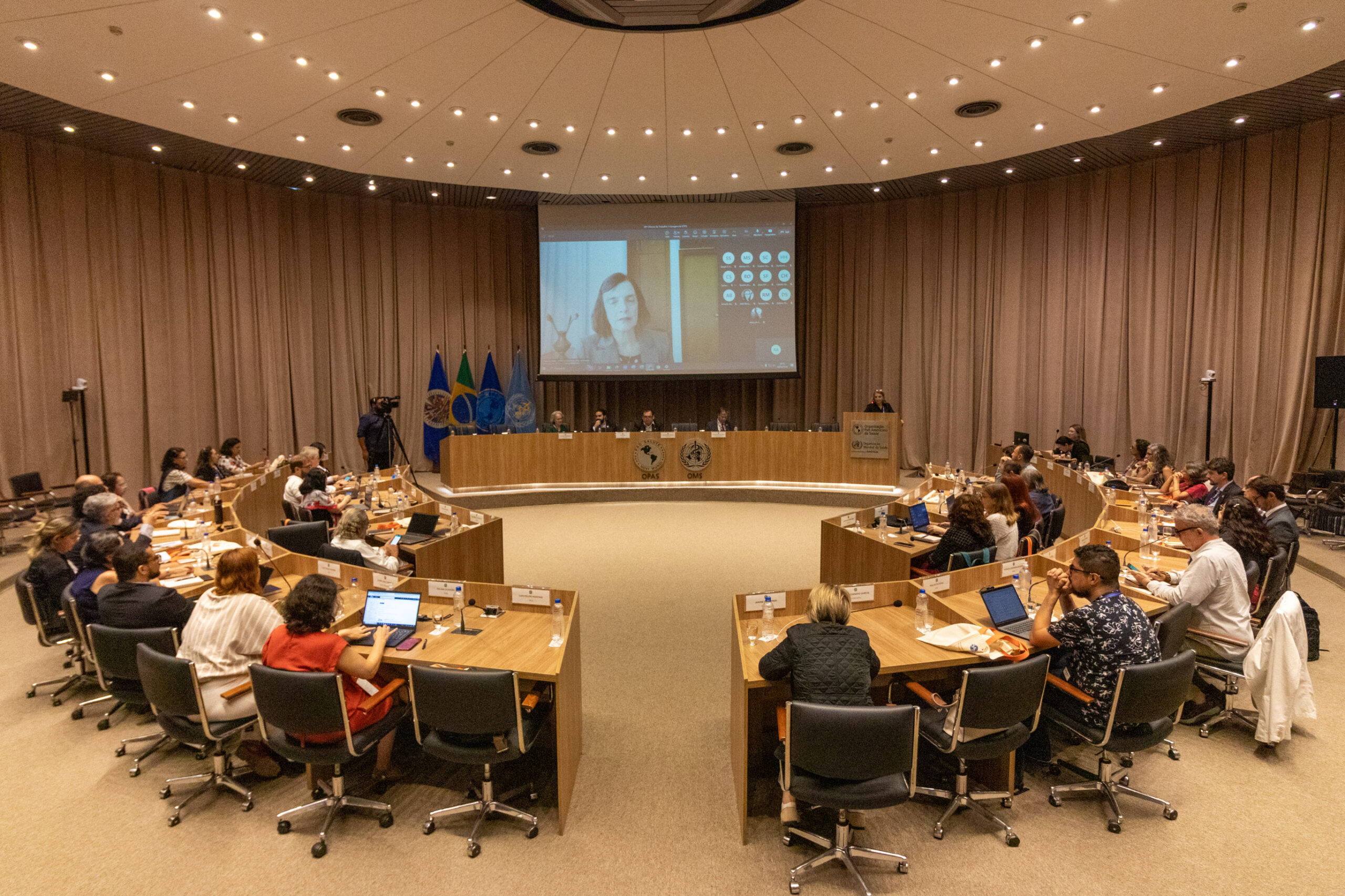 30ª Oficina de Trabalho Interagencial da Ripsa - 2024.05.04 e 05