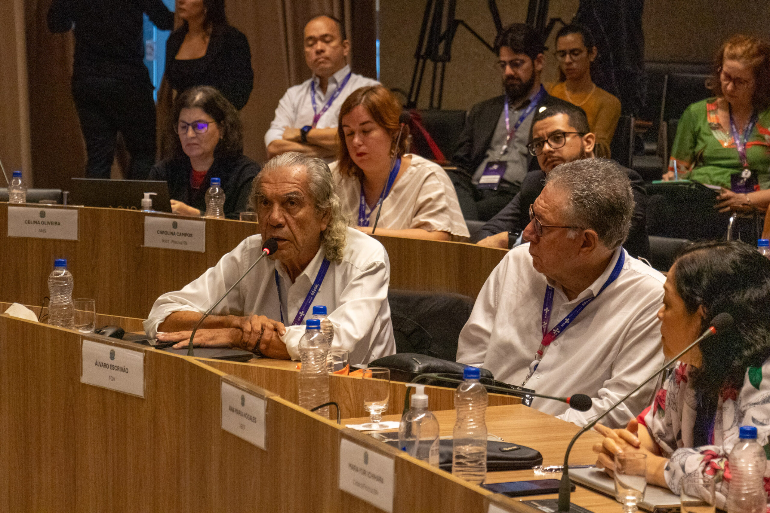 30ª Oficina de Trabalho Interagencial da Ripsa - 2024.05.04 e 05