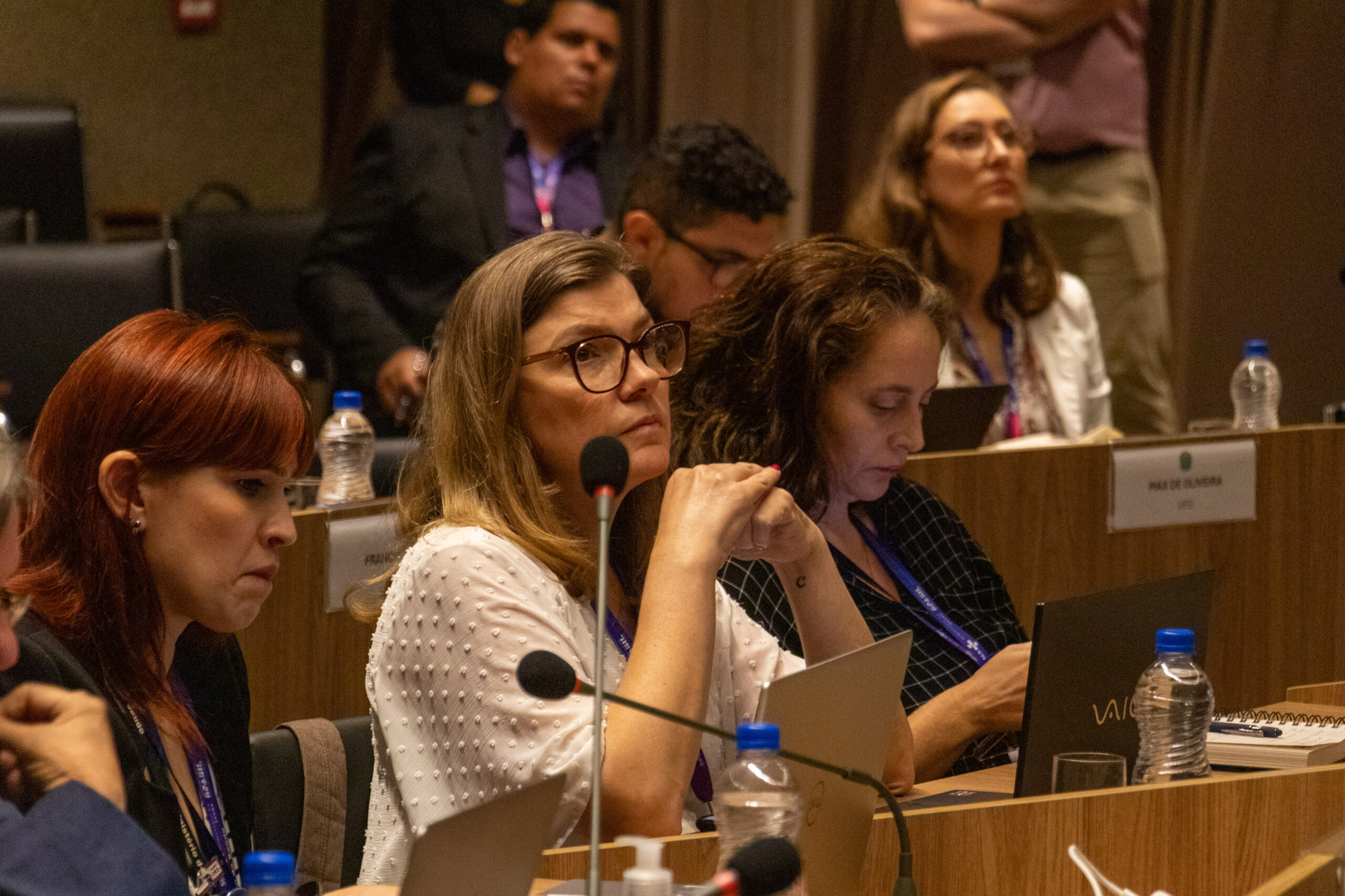 30ª Oficina de Trabalho Interagencial da Ripsa - 2024.05.04 e 05