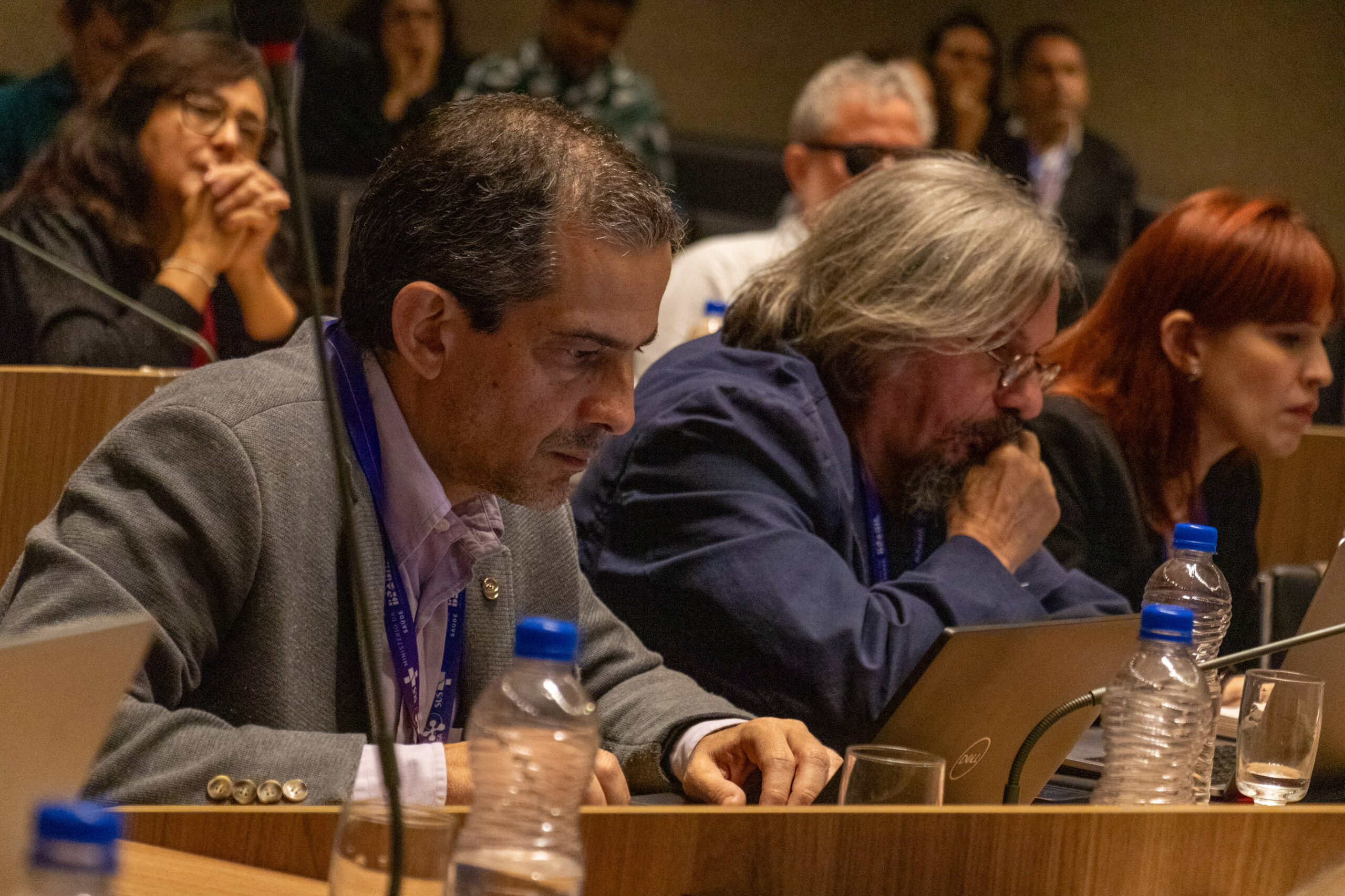 30ª Oficina de Trabalho Interagencial da Ripsa - 2024.05.04 e 05