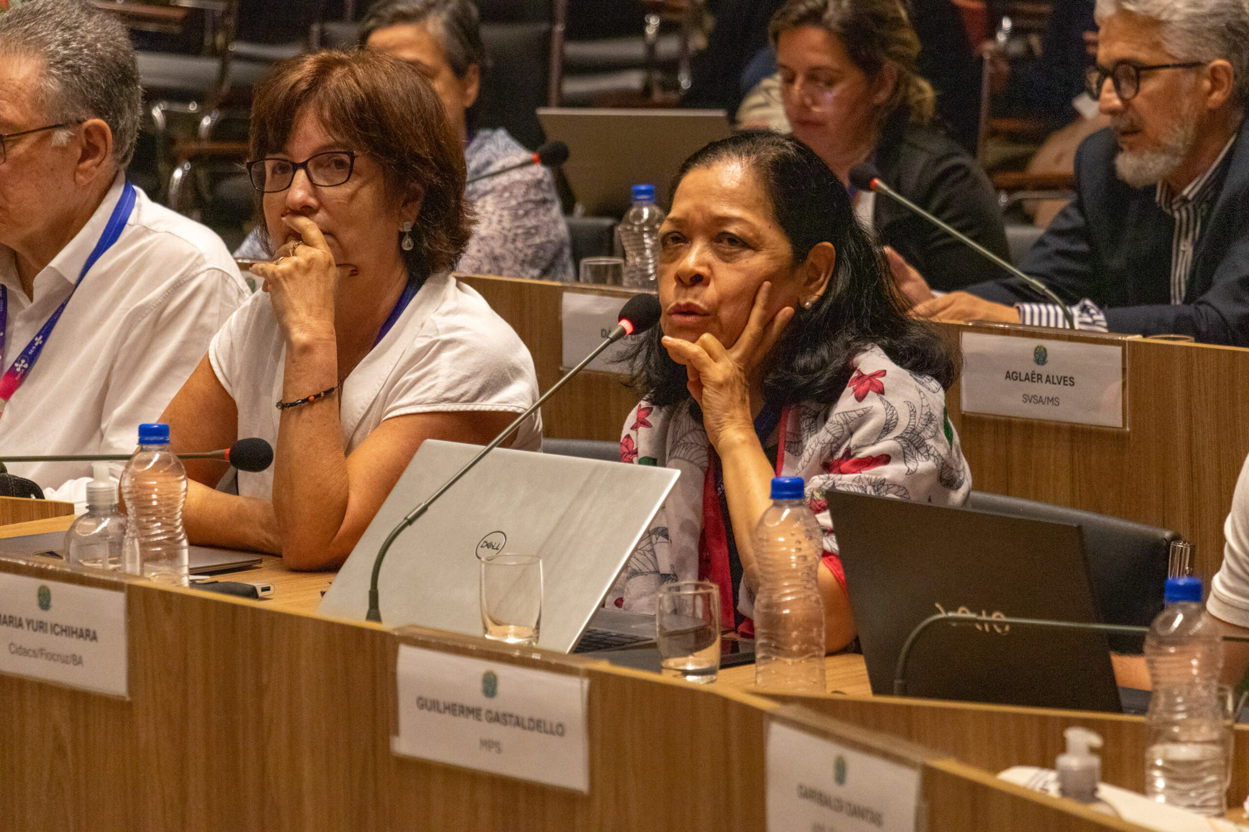 30ª Oficina de Trabalho Interagencial da Ripsa - 2024.05.04 e 05