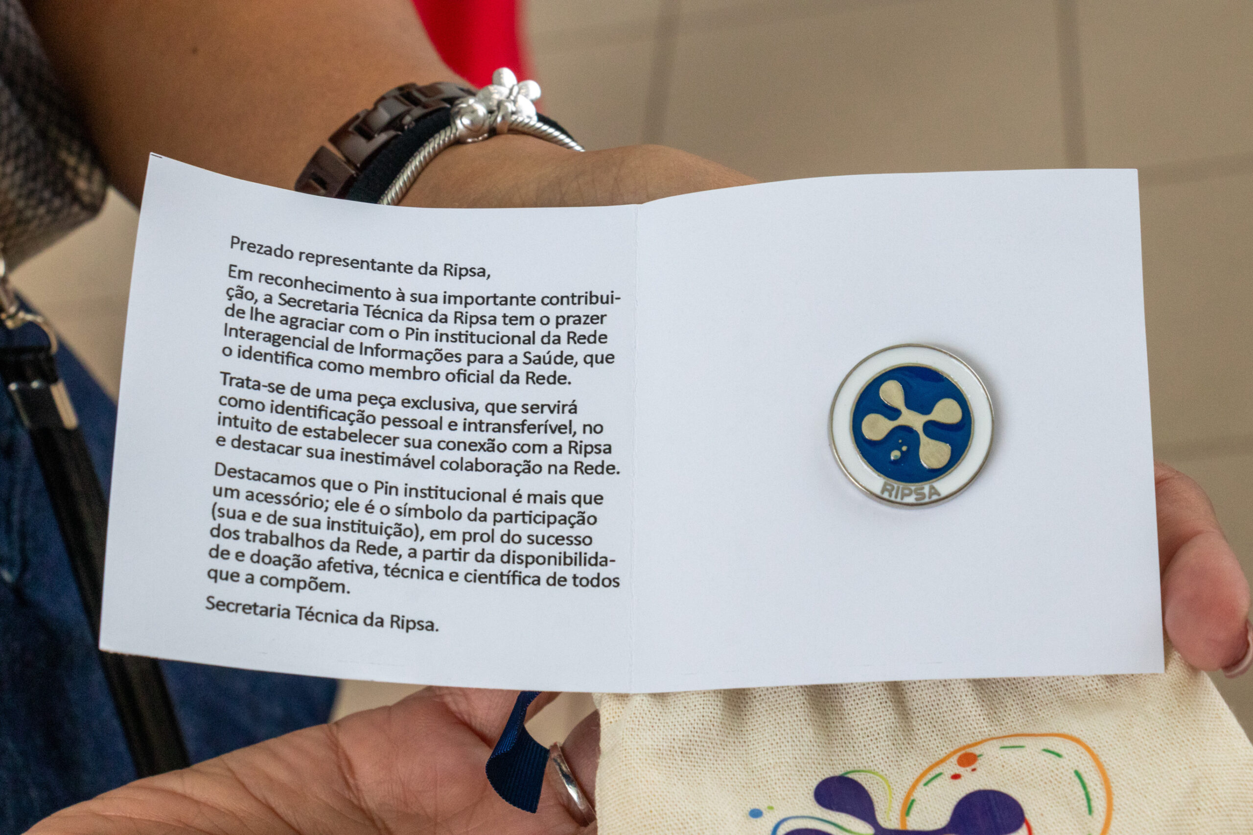 30ª Oficina de Trabalho Interagencial da Ripsa - 2024.05.04 e 05