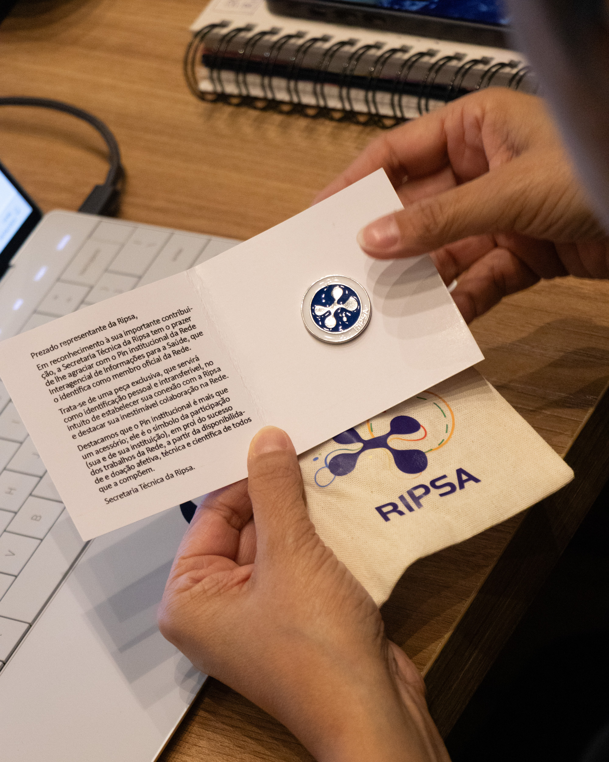 30ª Oficina de Trabalho Interagencial da Ripsa - 2024.05.04 e 05