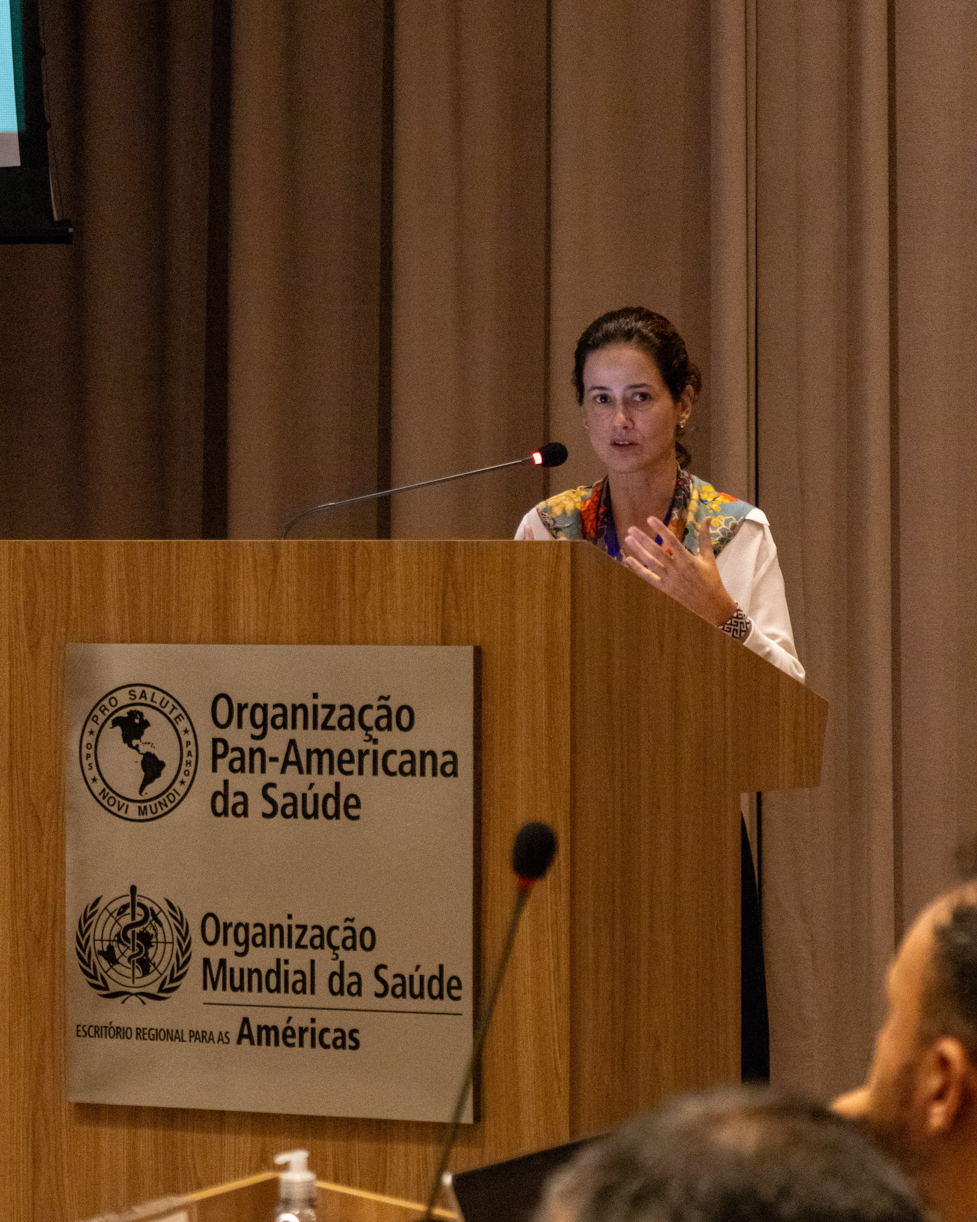 30ª Oficina de Trabalho Interagencial da Ripsa - 2024.05.04 e 05