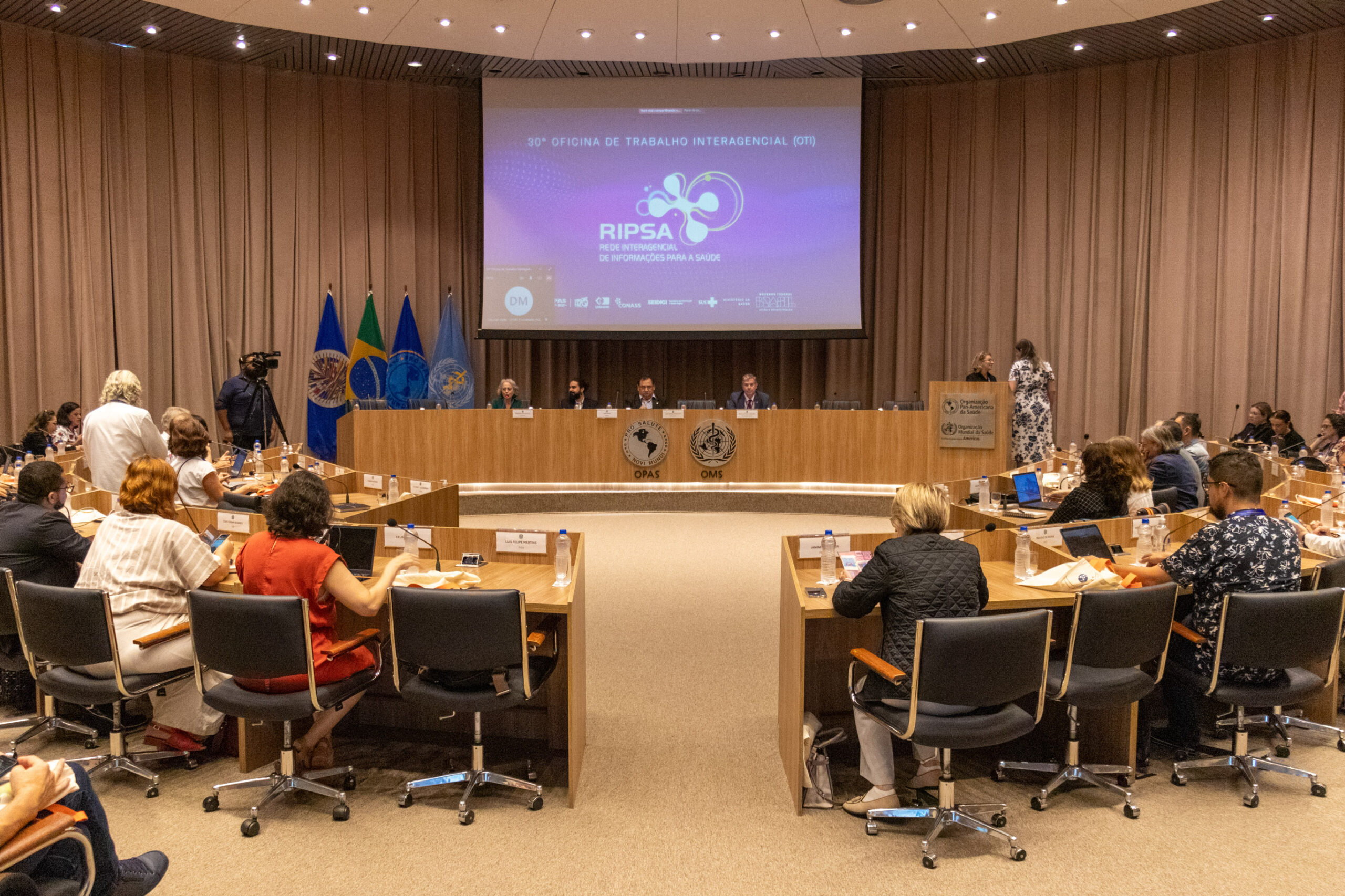 30ª Oficina de Trabalho Interagencial da Ripsa - 2024.05.04 e 05