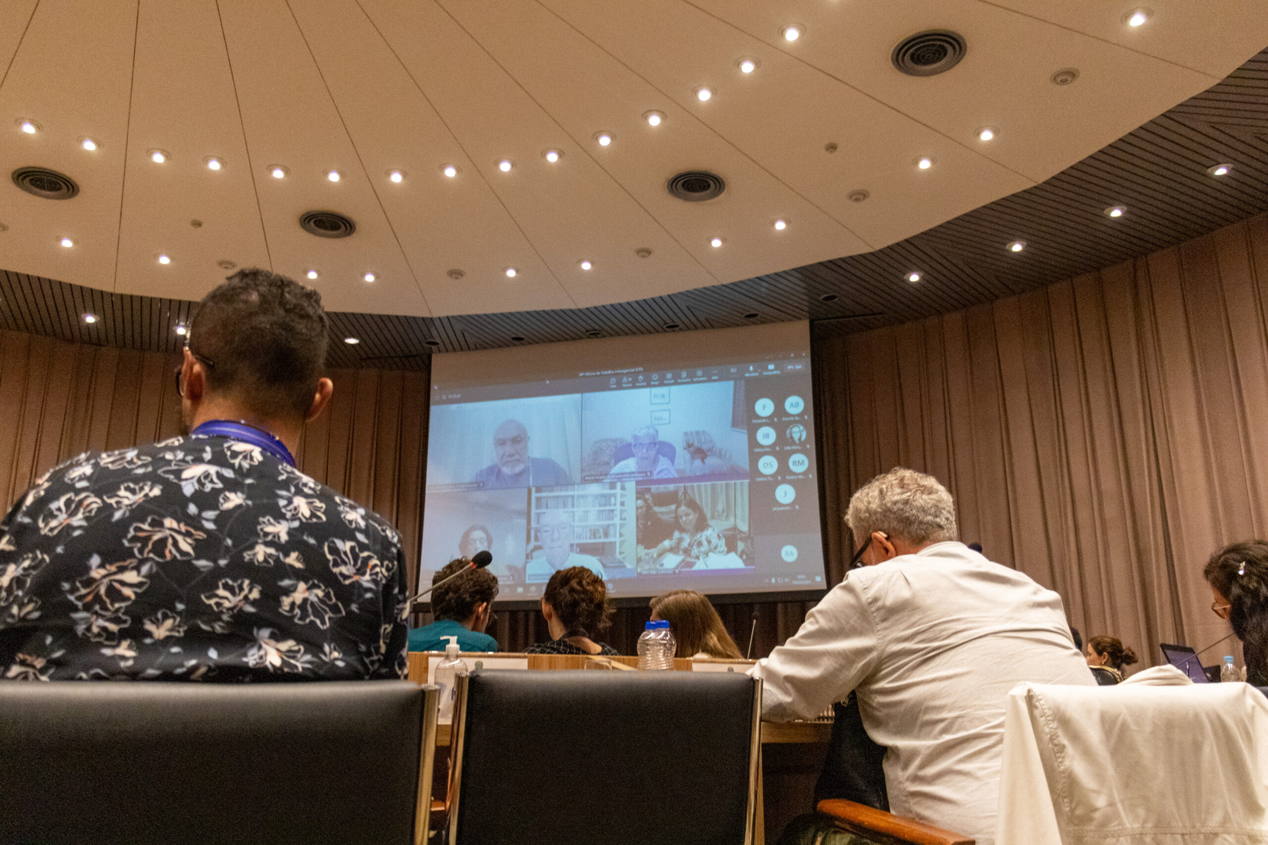 30ª Oficina de Trabalho Interagencial da Ripsa - 2024.05.04 e 05