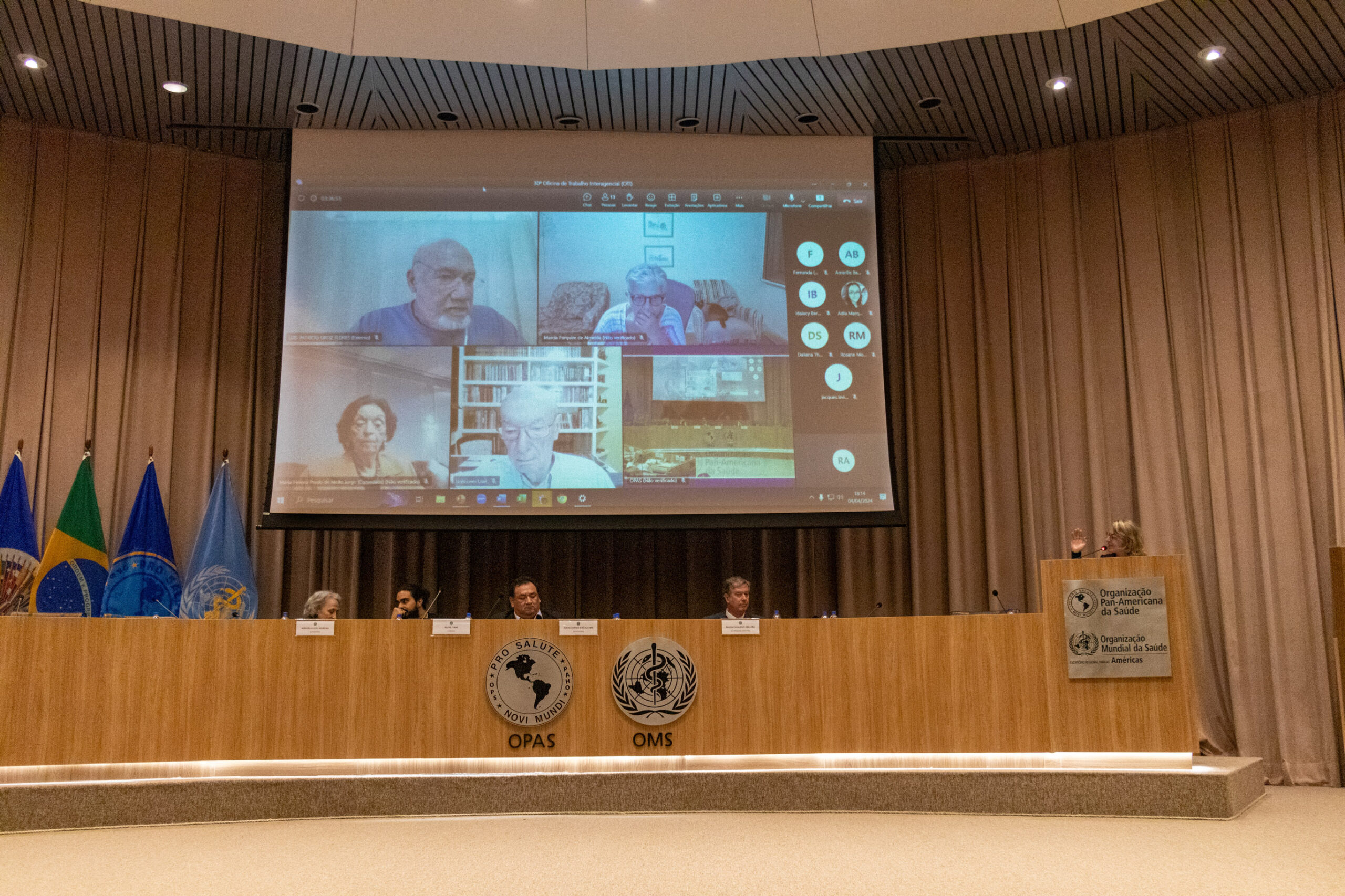 30ª Oficina de Trabalho Interagencial da Ripsa - 2024.05.04 e 05