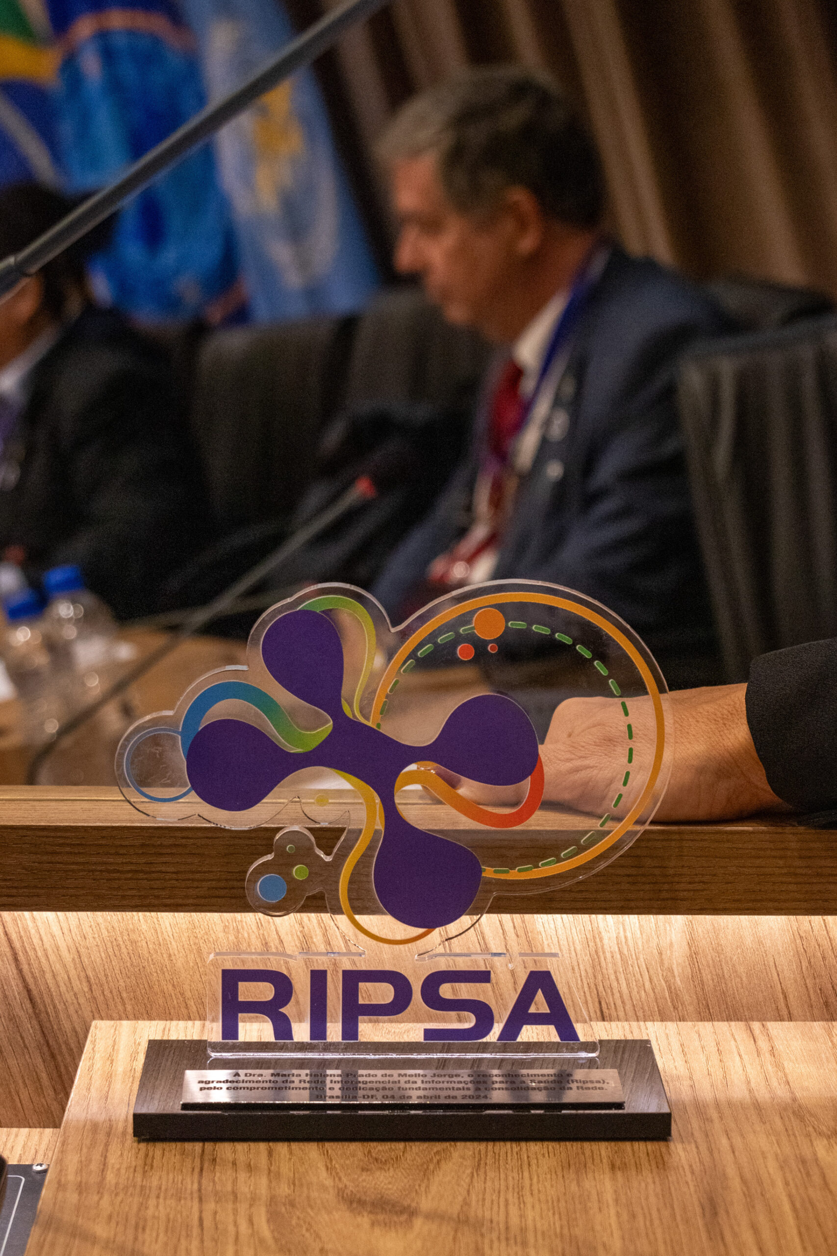 30ª Oficina de Trabalho Interagencial da Ripsa - 2024.05.04 e 05