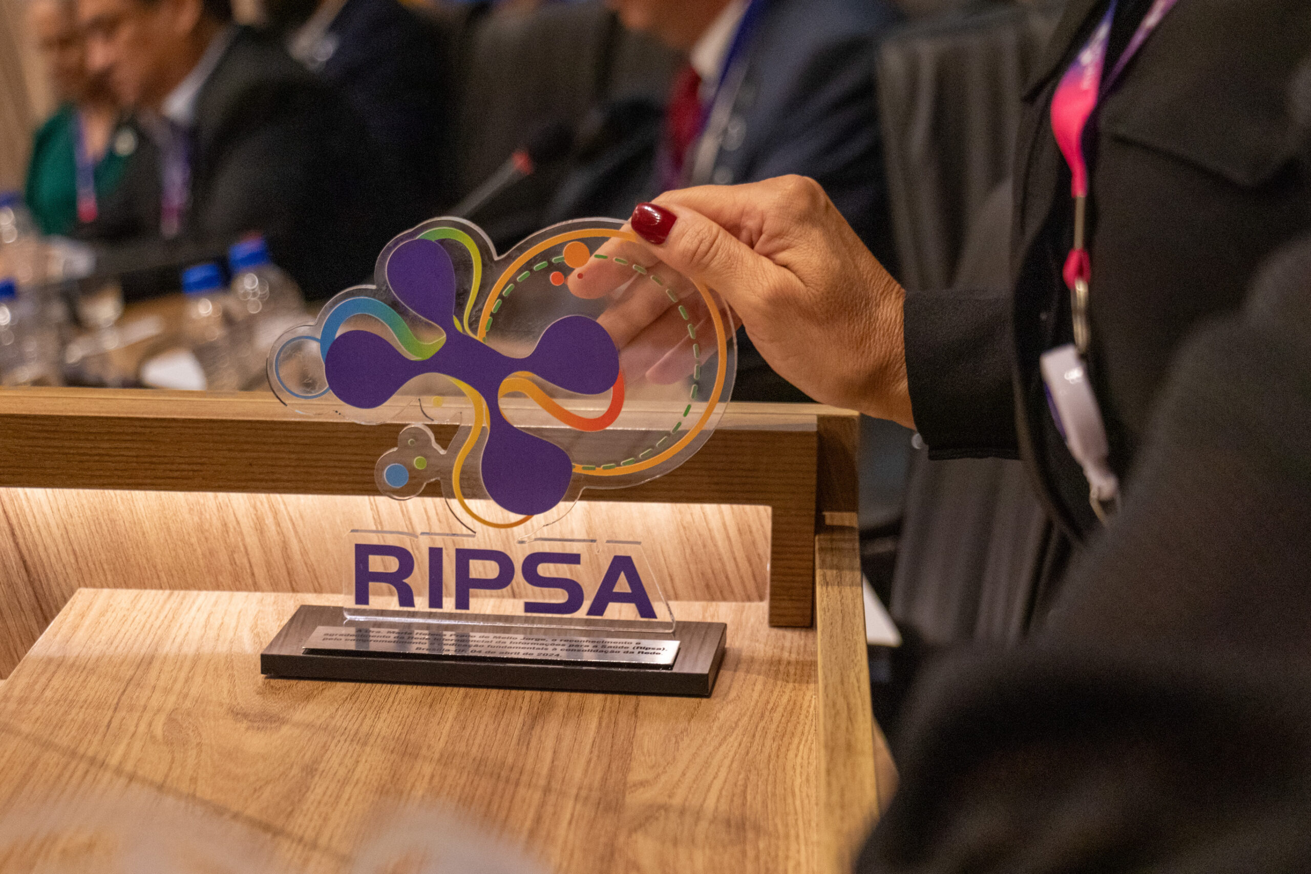 30ª Oficina de Trabalho Interagencial da Ripsa - 2024.05.04 e 05