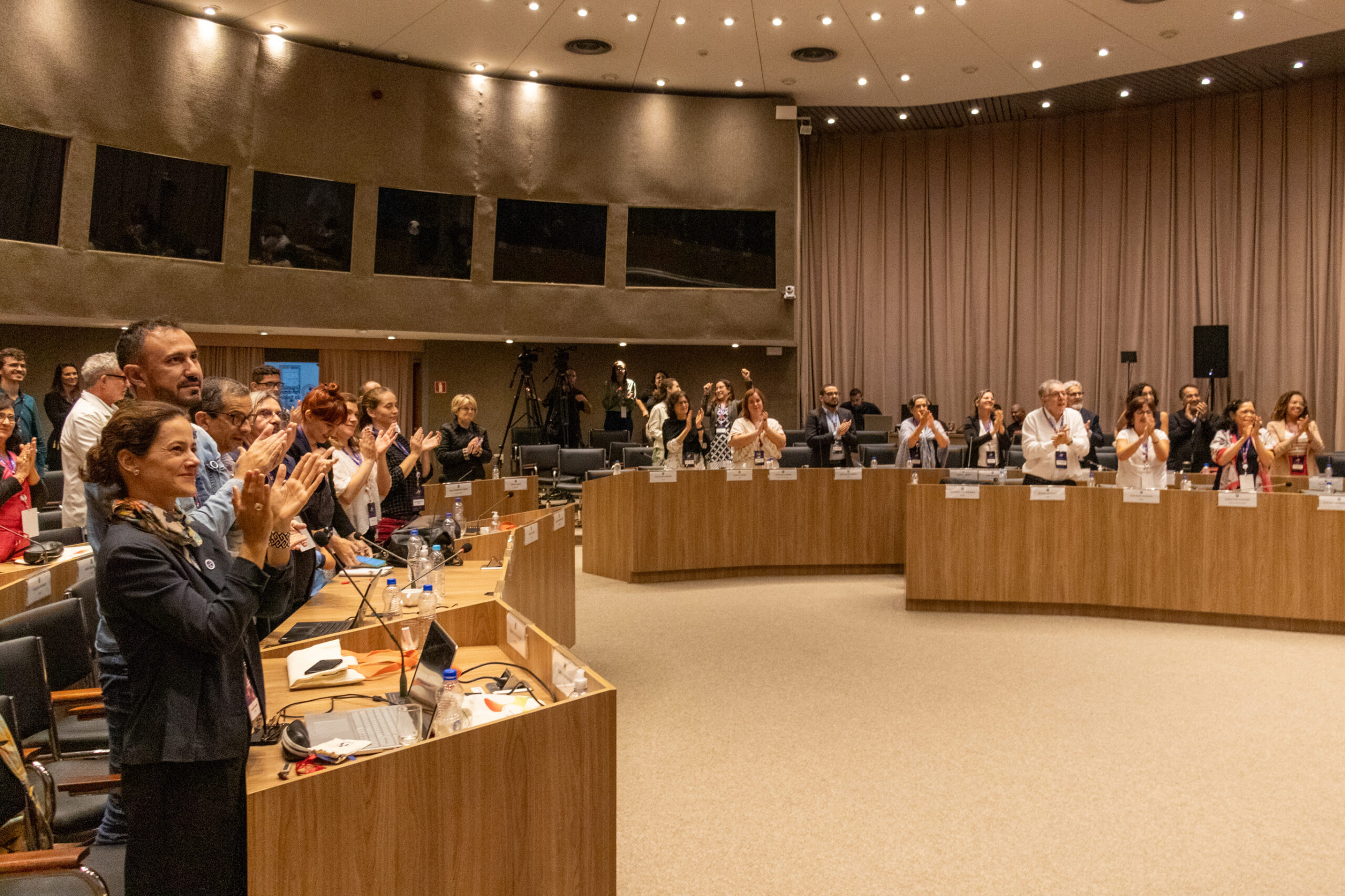 30ª Oficina de Trabalho Interagencial da Ripsa - 2024.05.04 e 05