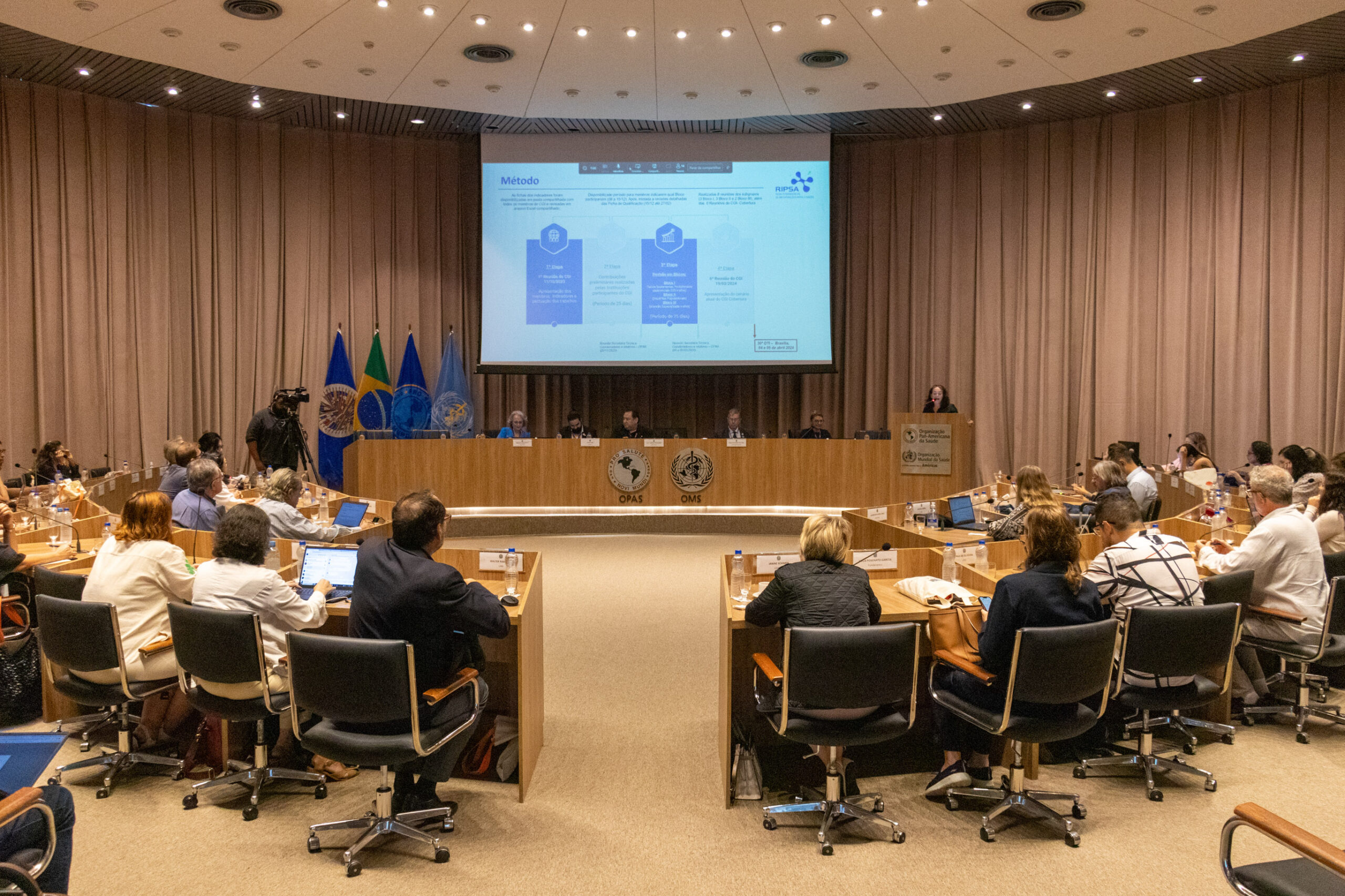 30ª Oficina de Trabalho Interagencial da Ripsa - 2024.05.04 e 05