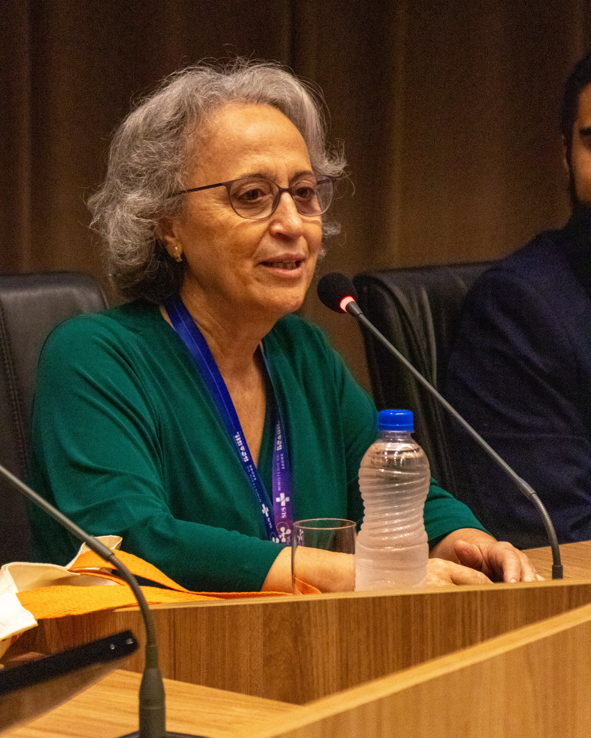 30ª Oficina de Trabalho Interagencial da Ripsa - 2024.05.04 e 05