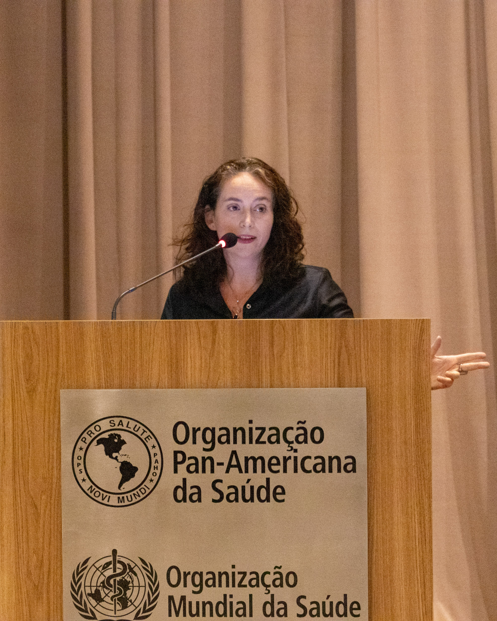 30ª Oficina de Trabalho Interagencial da Ripsa - 2024.05.04 e 05