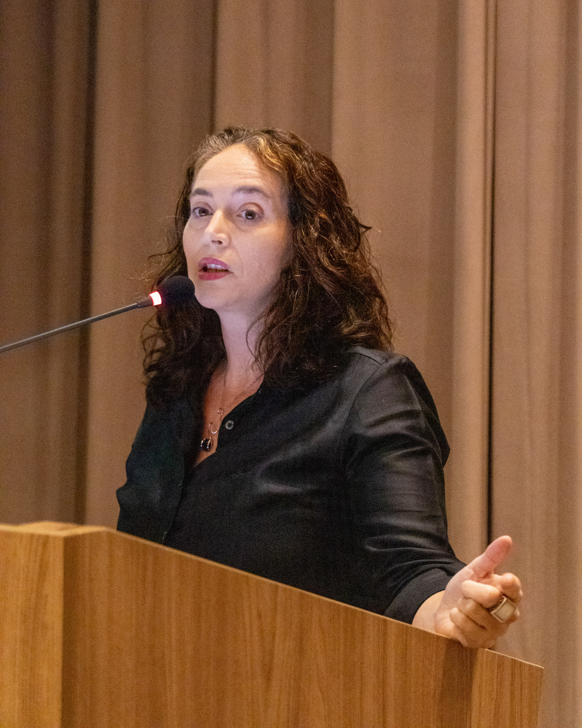 30ª Oficina de Trabalho Interagencial da Ripsa - 2024.05.04 e 05