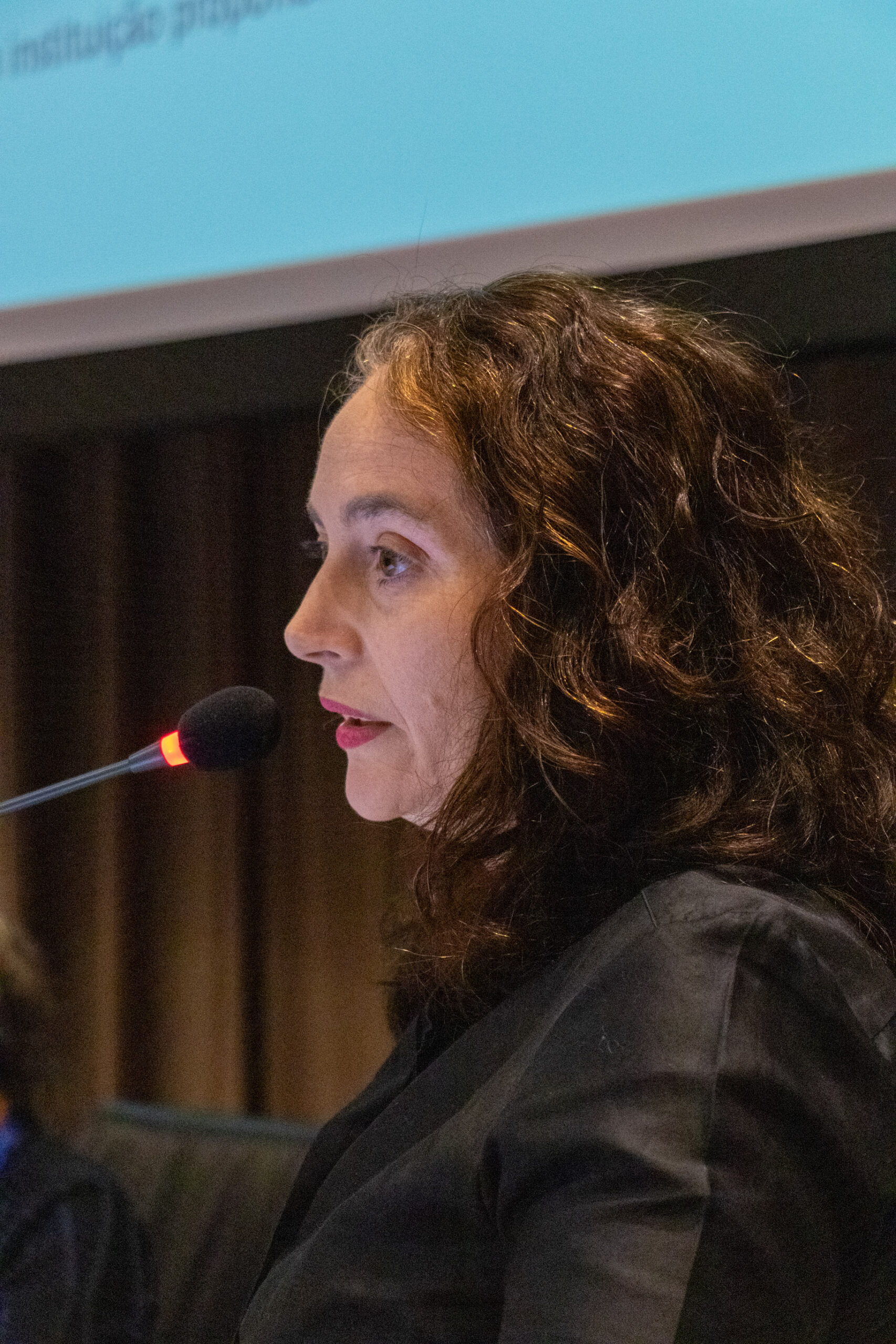 30ª Oficina de Trabalho Interagencial da Ripsa - 2024.05.04 e 05