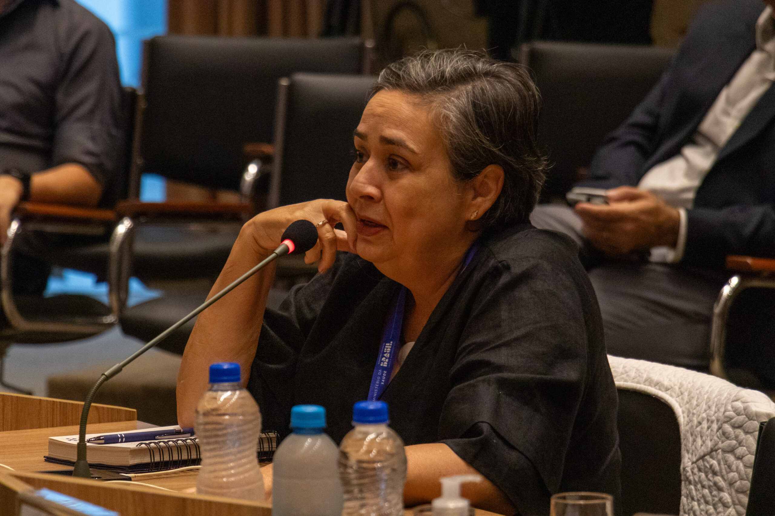 30ª Oficina de Trabalho Interagencial da Ripsa - 2024.05.04 e 05