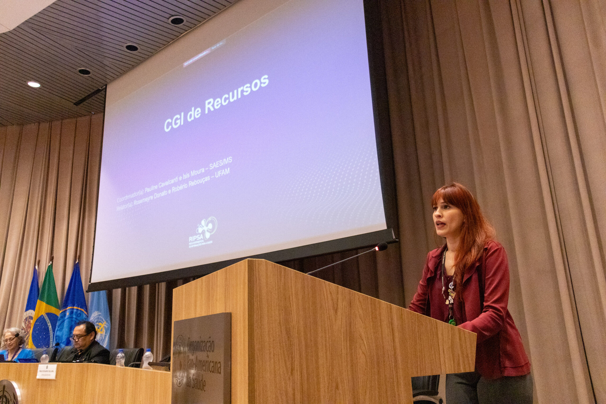 30ª Oficina de Trabalho Interagencial da Ripsa - 2024.05.04 e 05