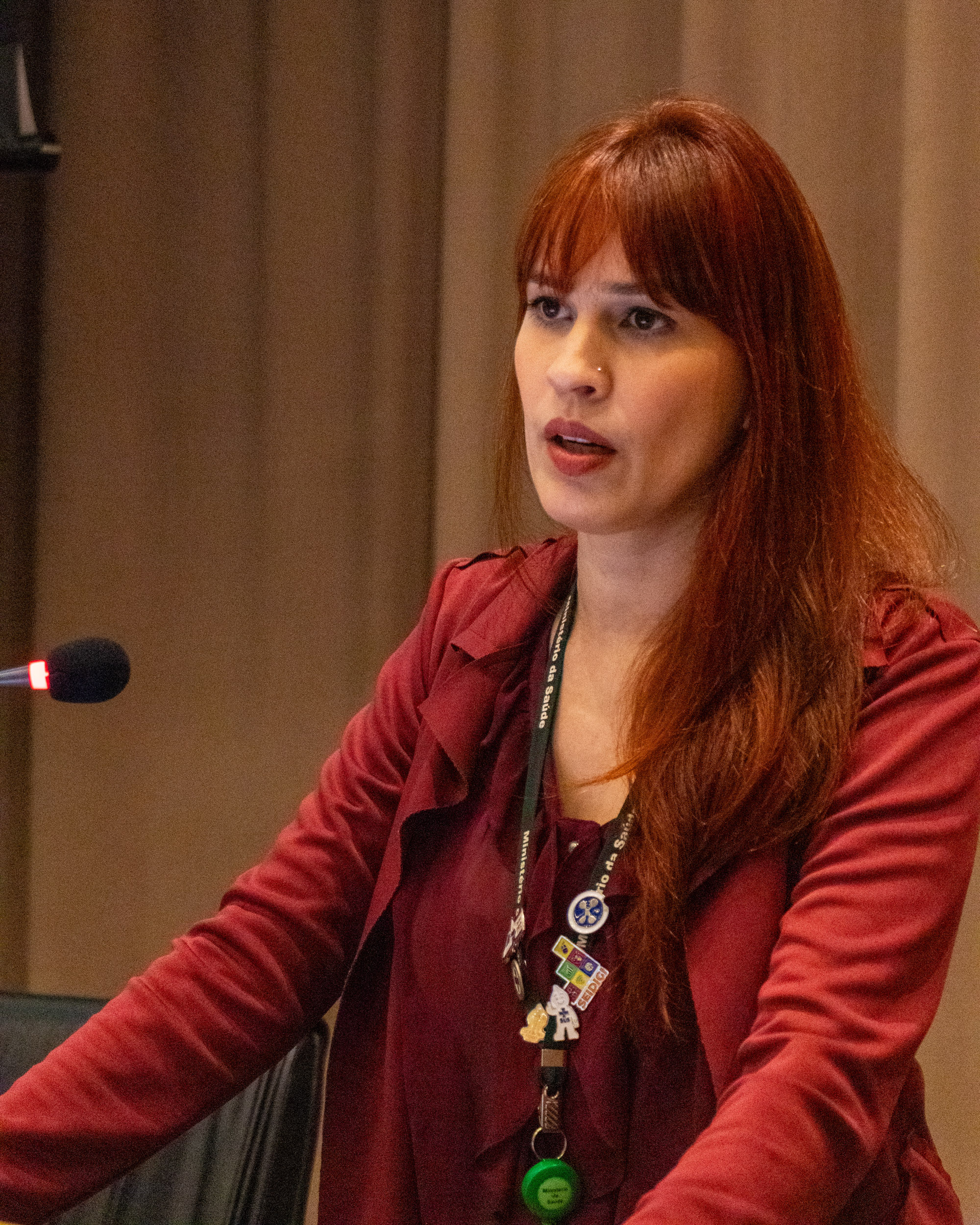 30ª Oficina de Trabalho Interagencial da Ripsa - 2024.05.04 e 05