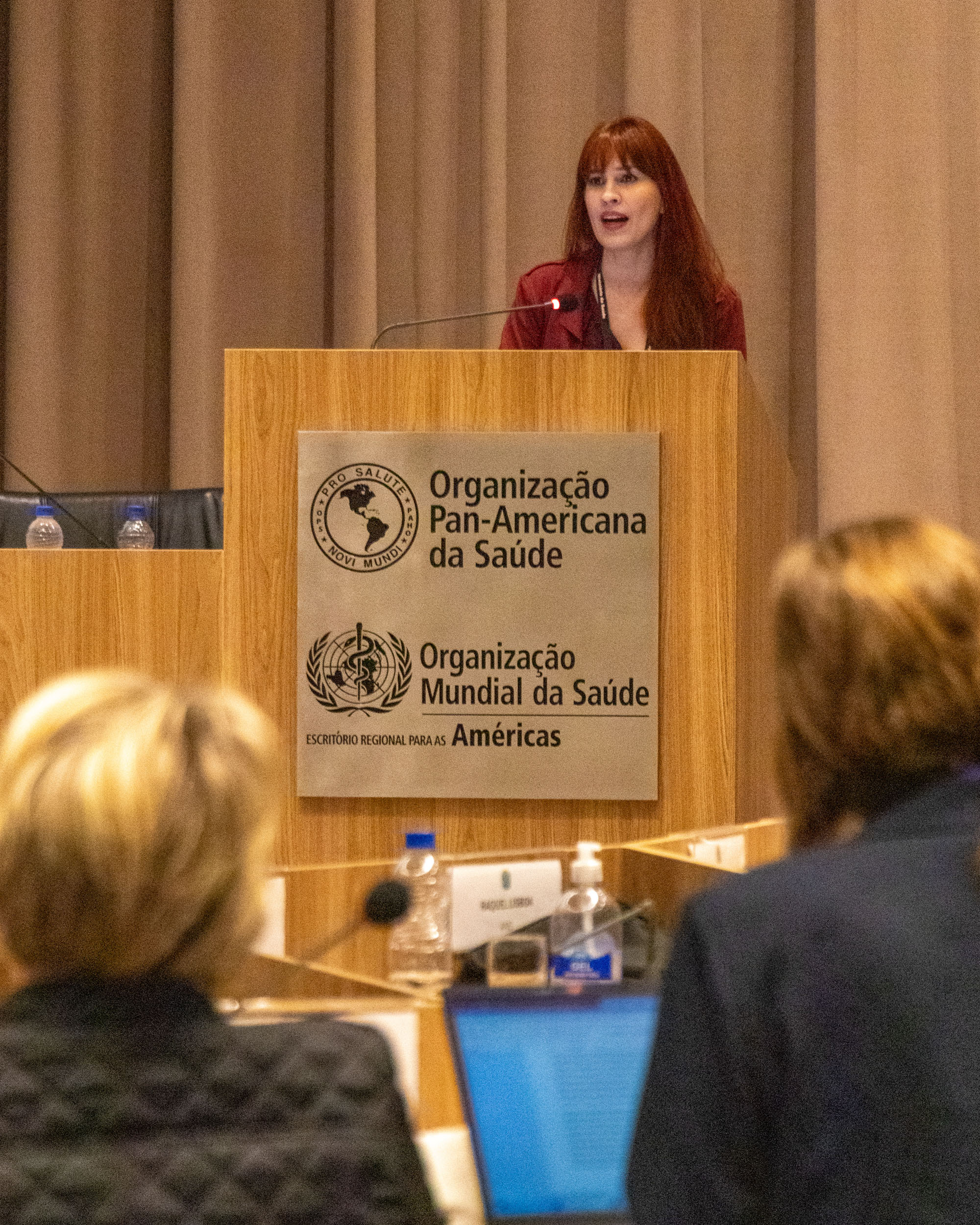 30ª Oficina de Trabalho Interagencial da Ripsa - 2024.05.04 e 05