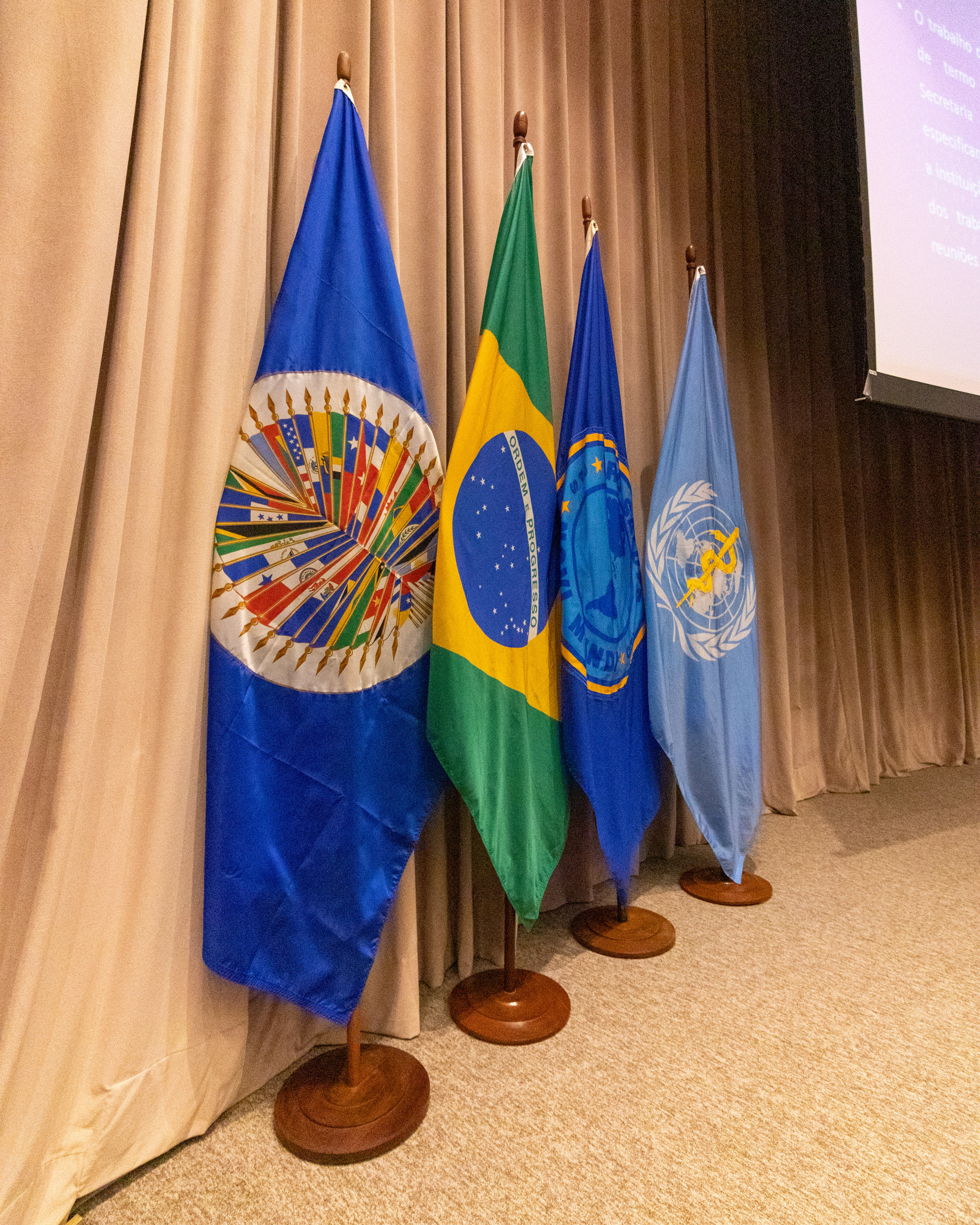 30ª Oficina de Trabalho Interagencial da Ripsa - 2024.05.04 e 05