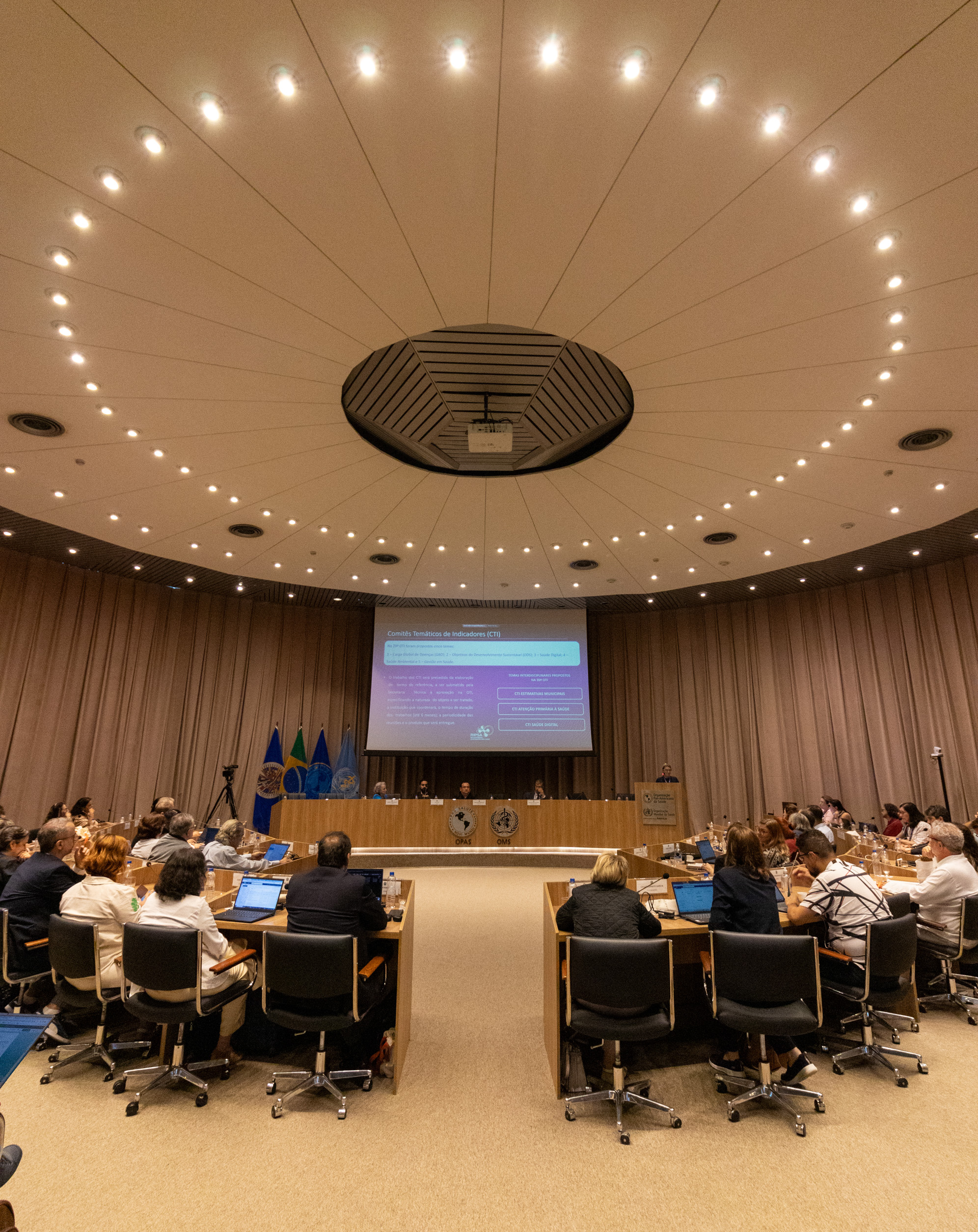 30ª Oficina de Trabalho Interagencial da Ripsa - 2024.05.04 e 05