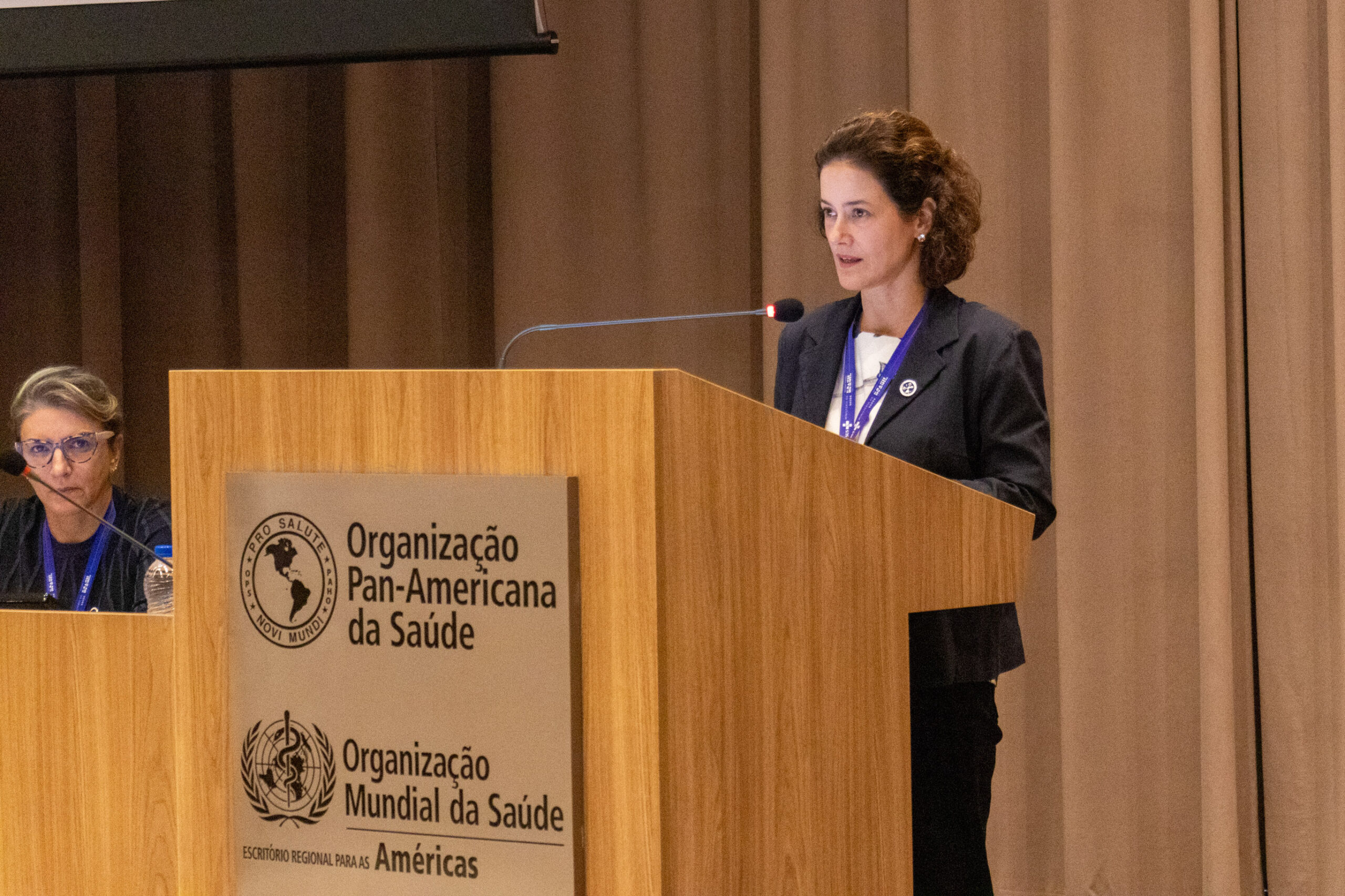 30ª Oficina de Trabalho Interagencial da Ripsa - 2024.05.04 e 05