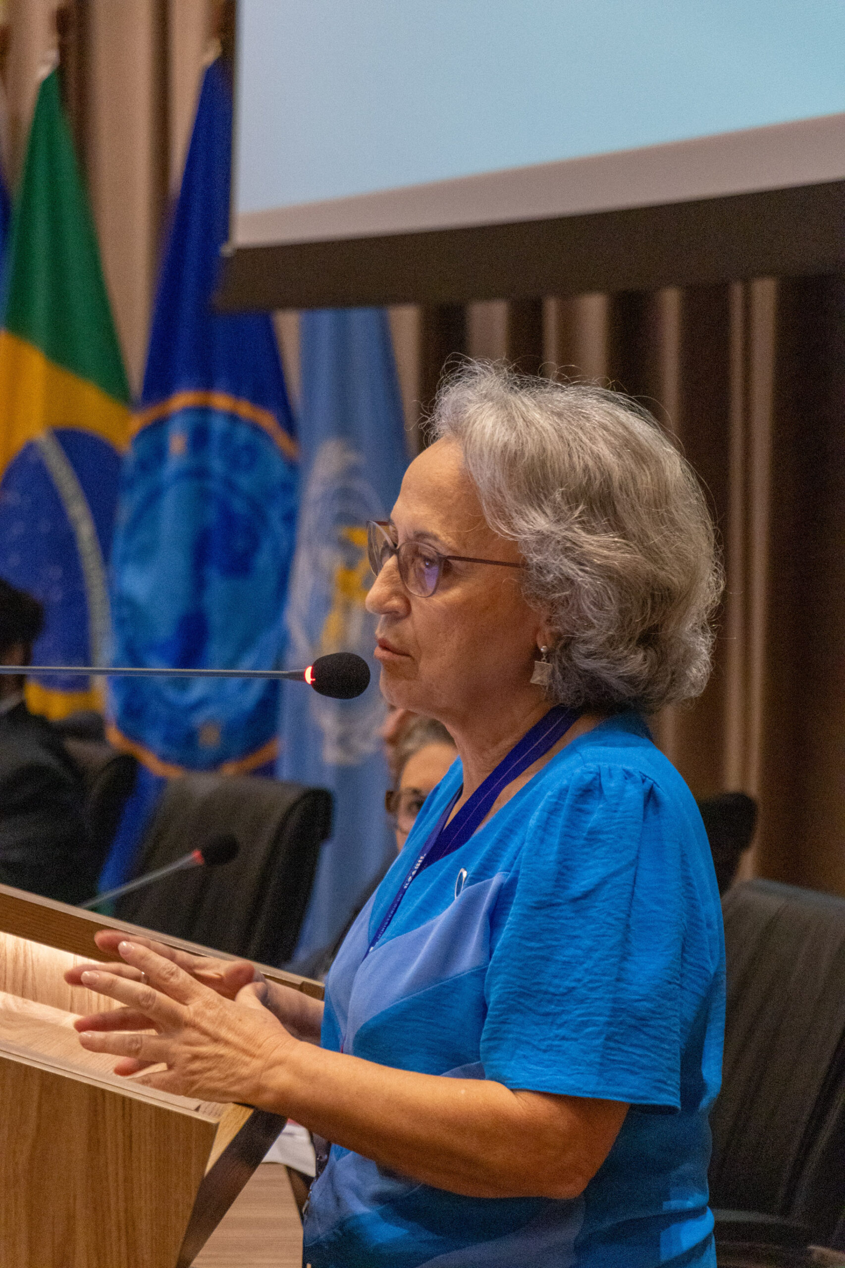 30ª Oficina de Trabalho Interagencial da Ripsa - 2024.05.04 e 05