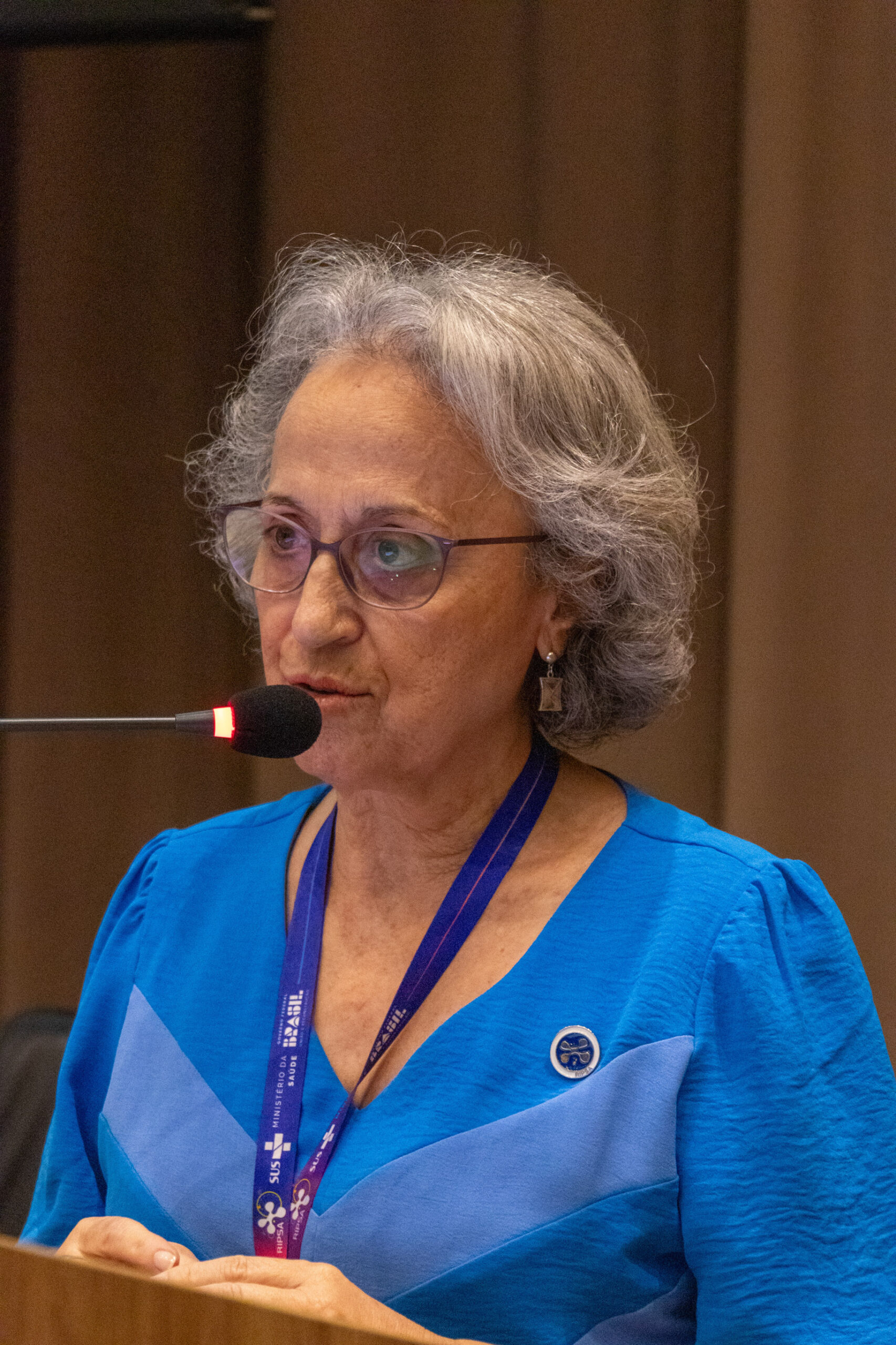 30ª Oficina de Trabalho Interagencial da Ripsa - 2024.05.04 e 05