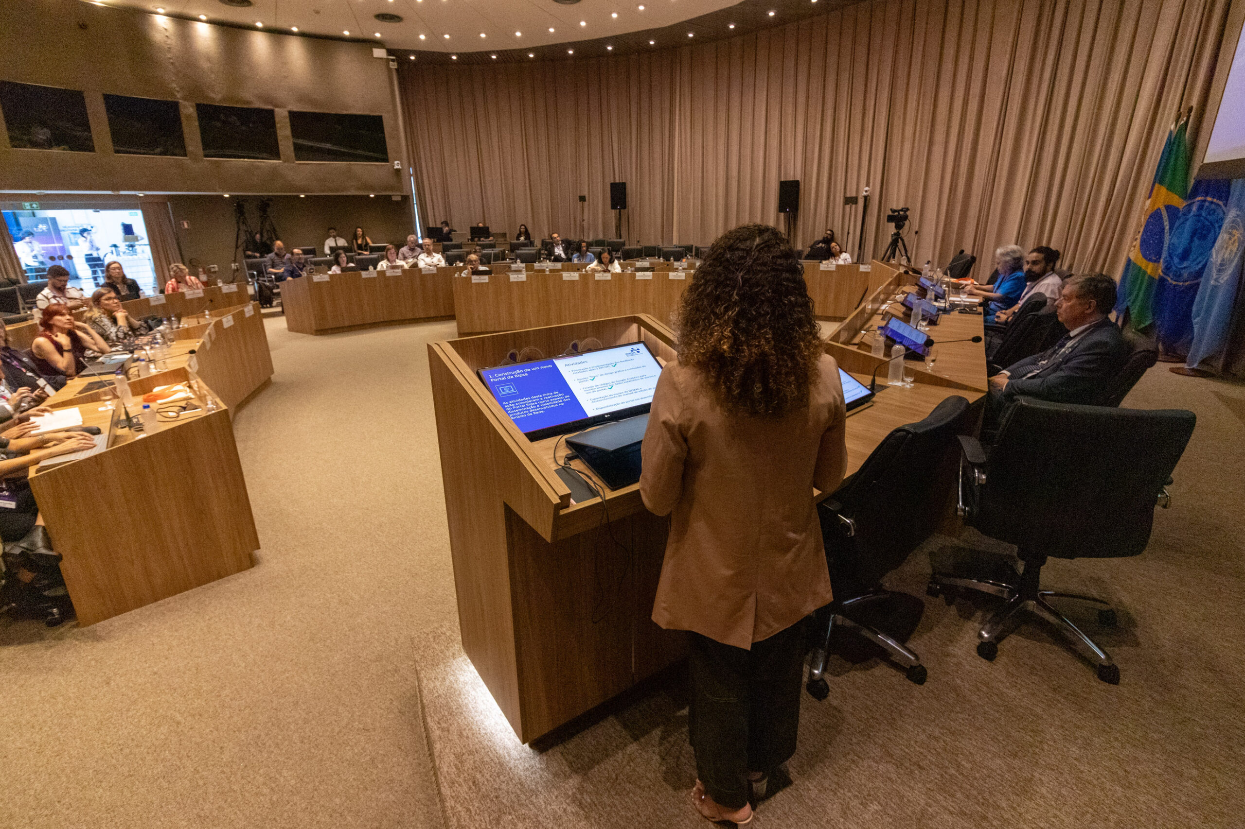 30ª Oficina de Trabalho Interagencial da Ripsa - 2024.05.04 e 05