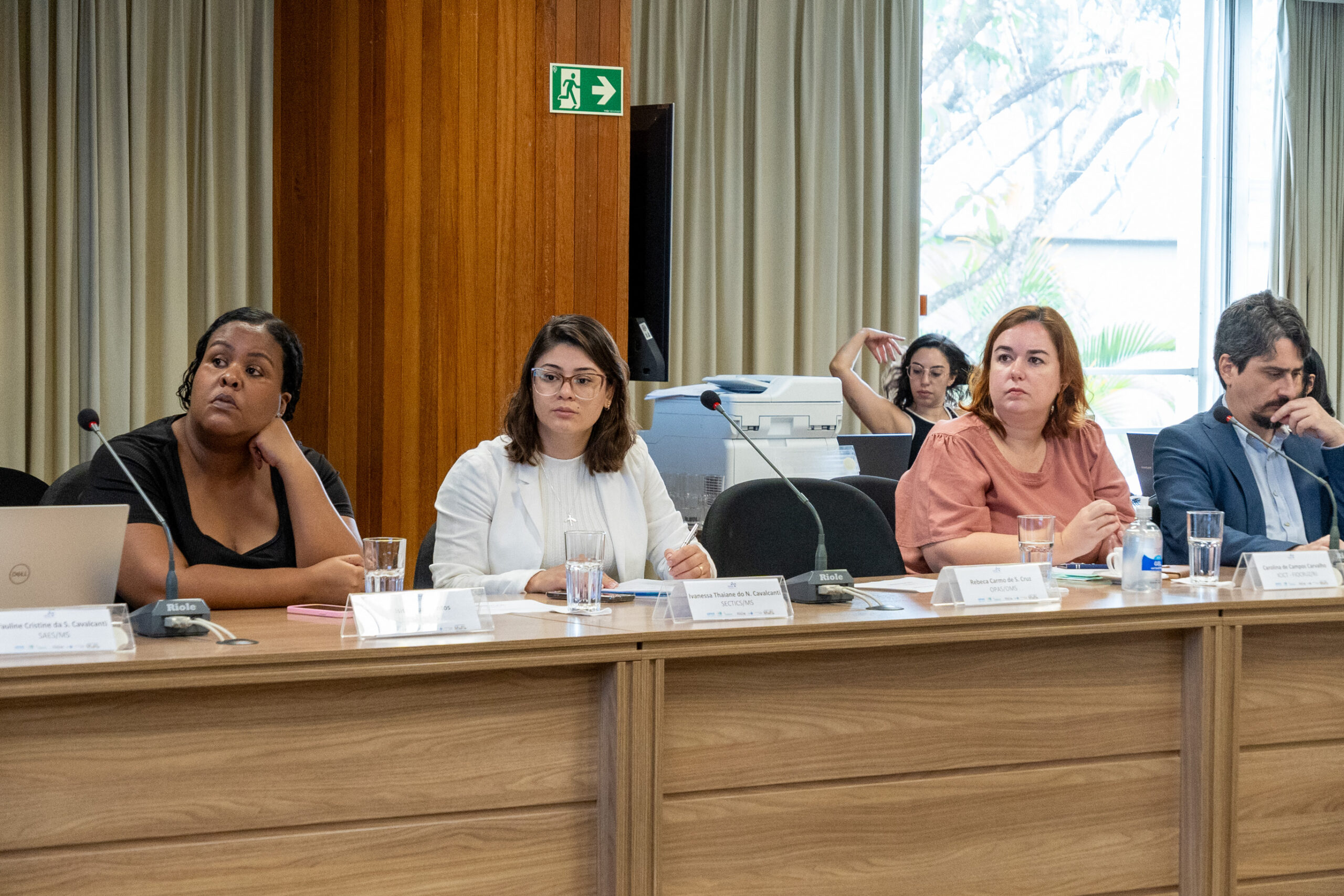 5ª Reunião dos Comitês de Gestão de Indicadores da Ripsa​ - 2024.10.29 e 30